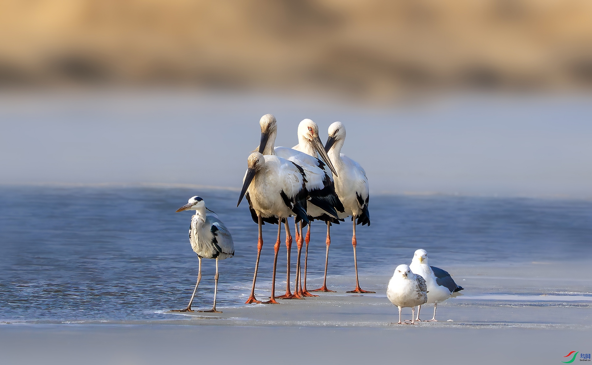 DSC02754-����ǿ-NR ���� 2.jpg