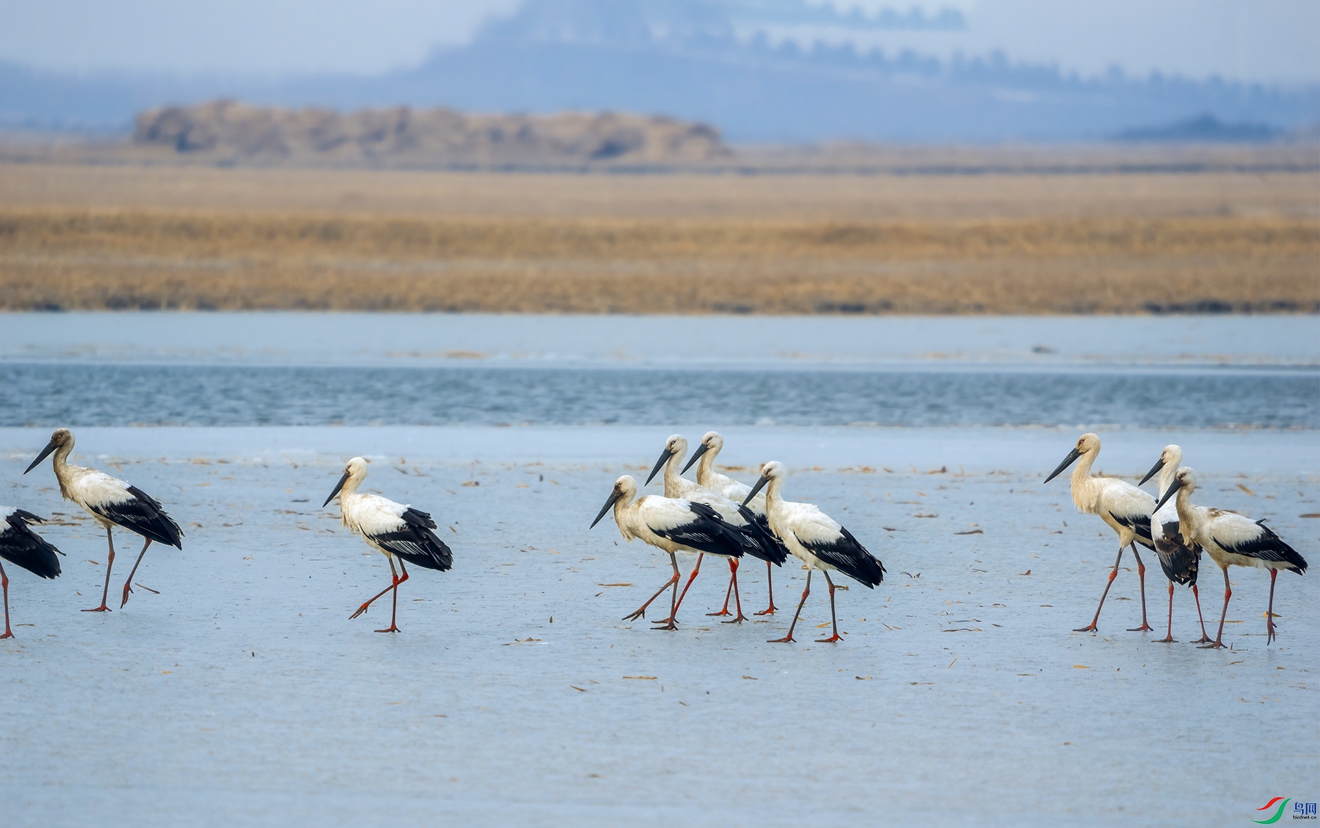 DSC08329 ����01 ����.jpg