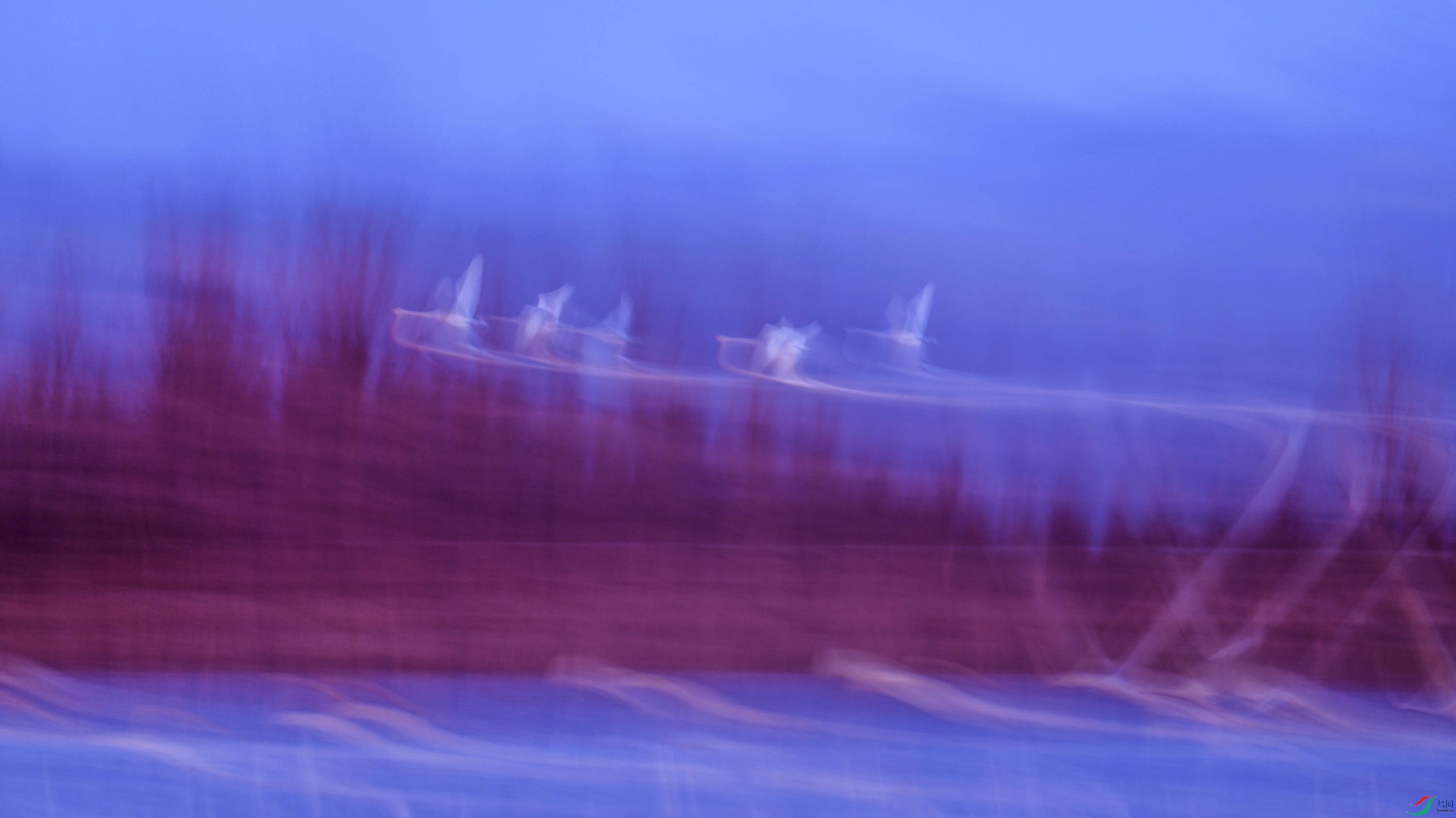 DSC_9171.jpg