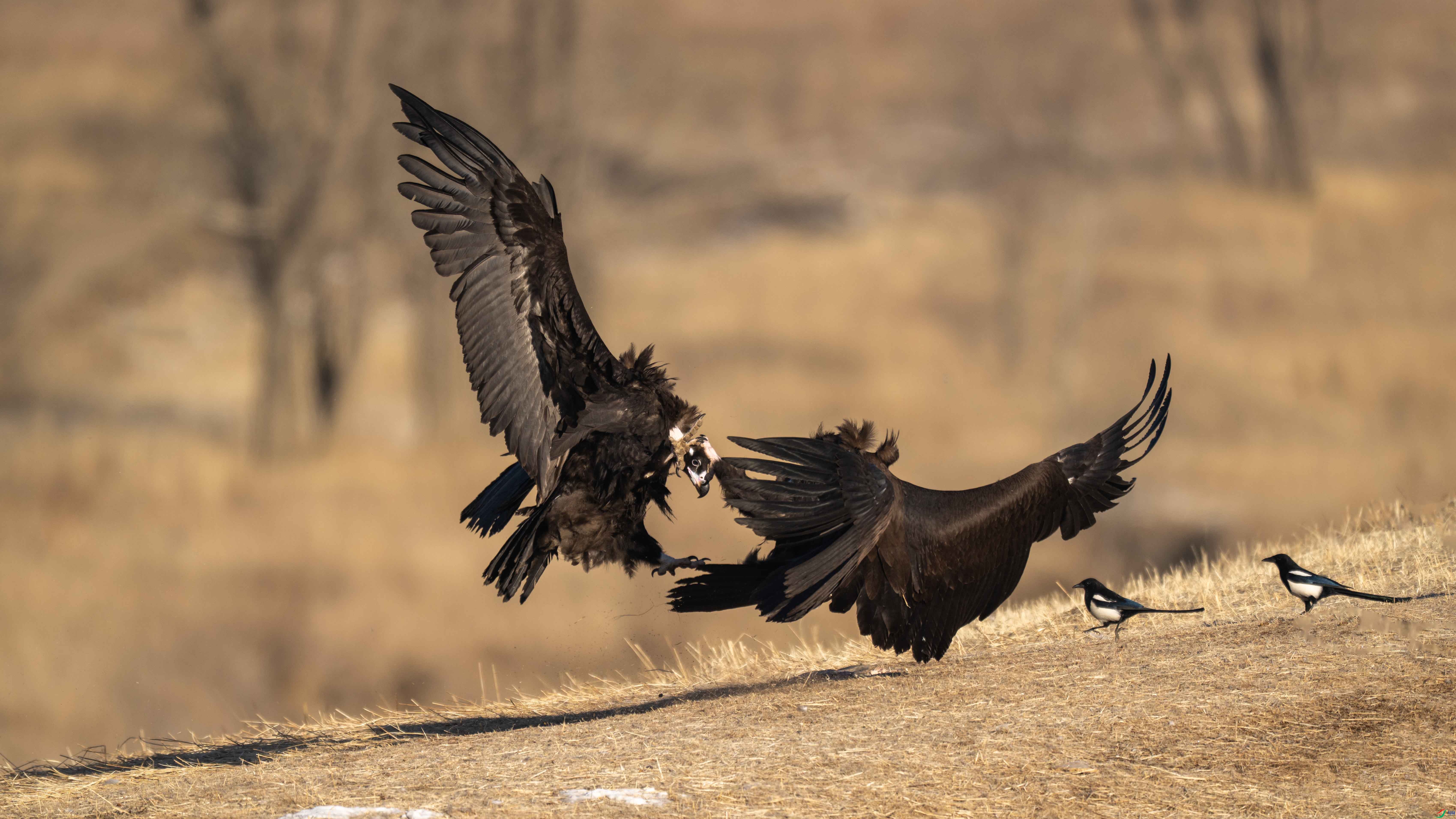 _DSC5760 ����xiao.jpg