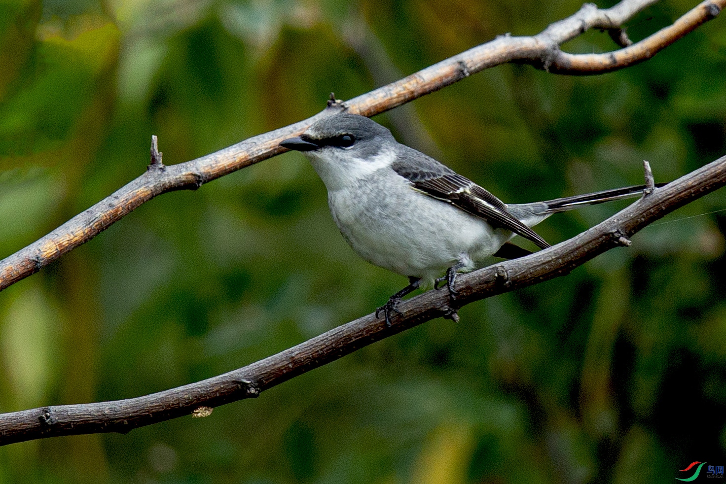 _MG_0264 ����.jpg