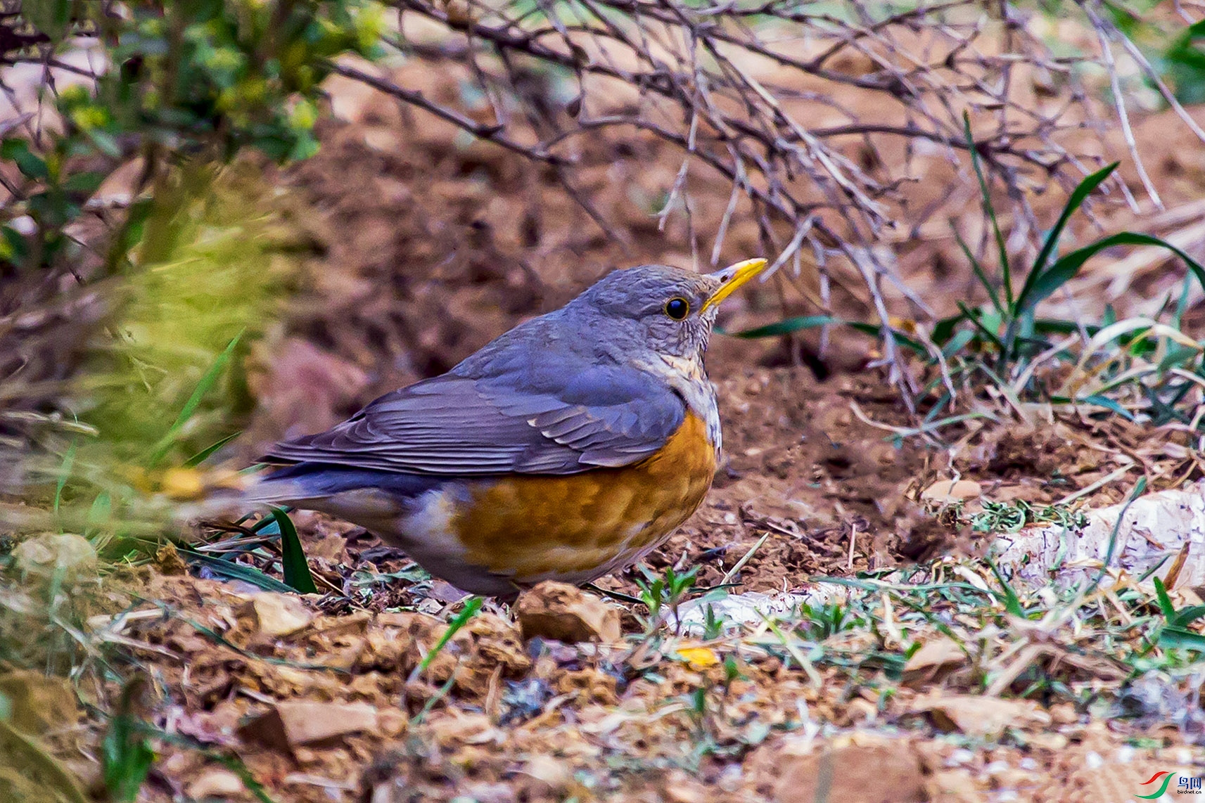 _MG_4149 ����.jpg