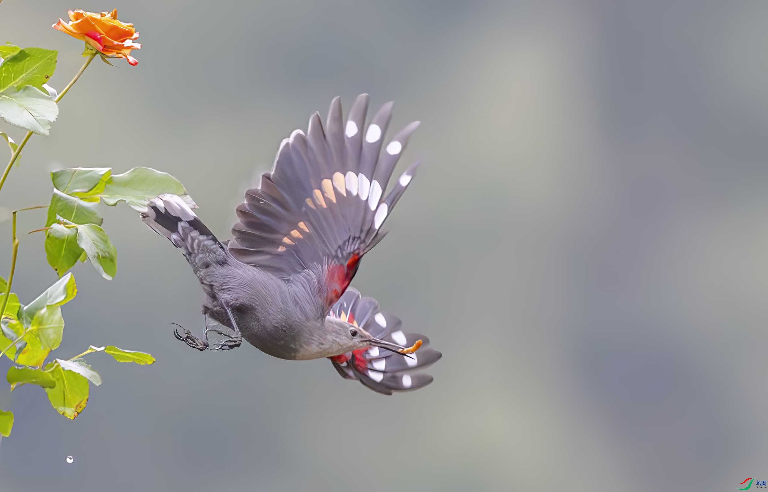 _DSC4060 ����.jpg