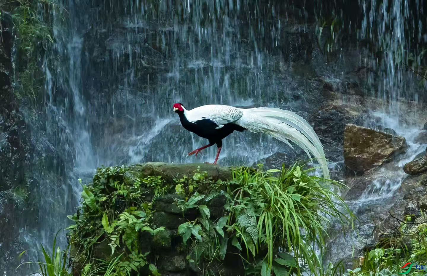 ��� ����.jpg