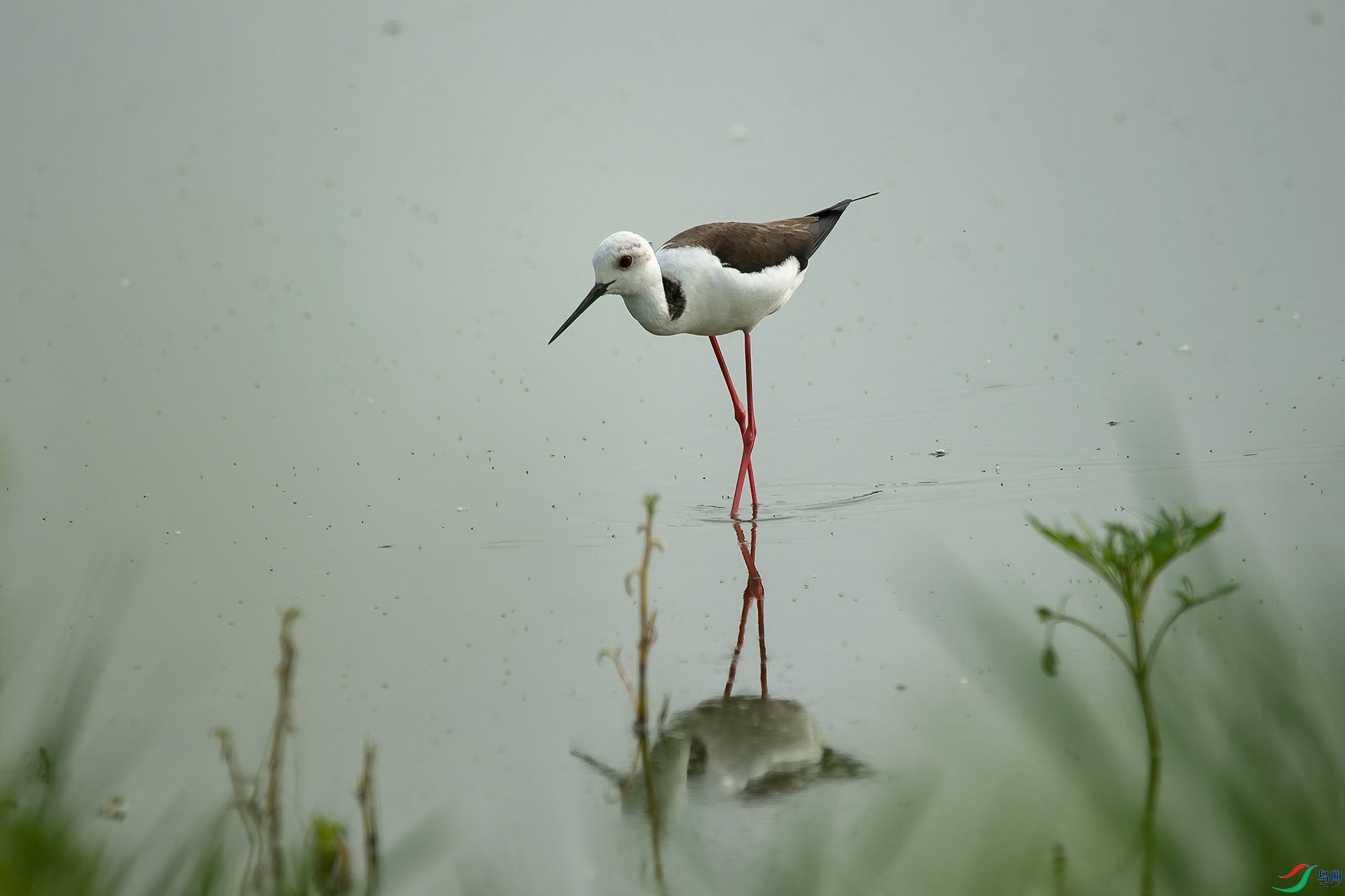 _DSC0412-20220510AI �ü�.jpg