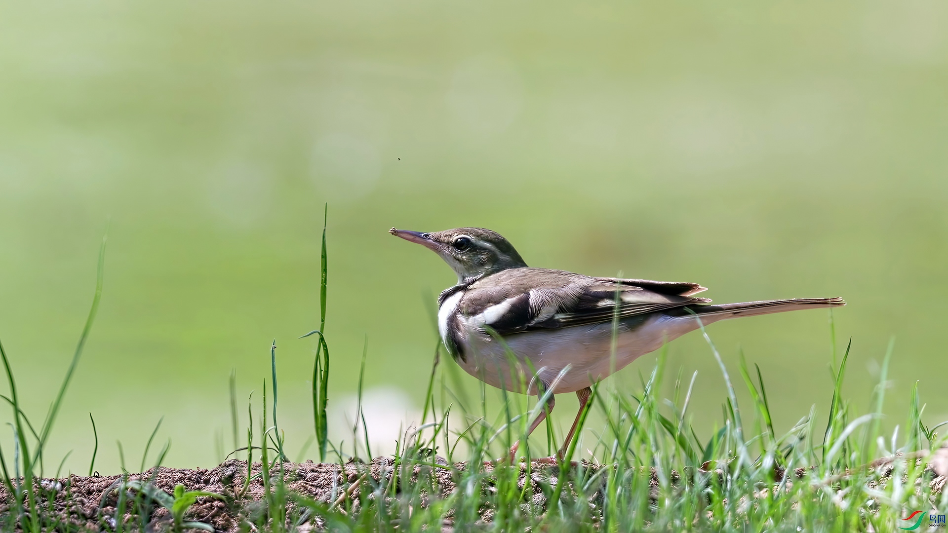 ��֡ 2026-02-08 151829_1.1.jpg