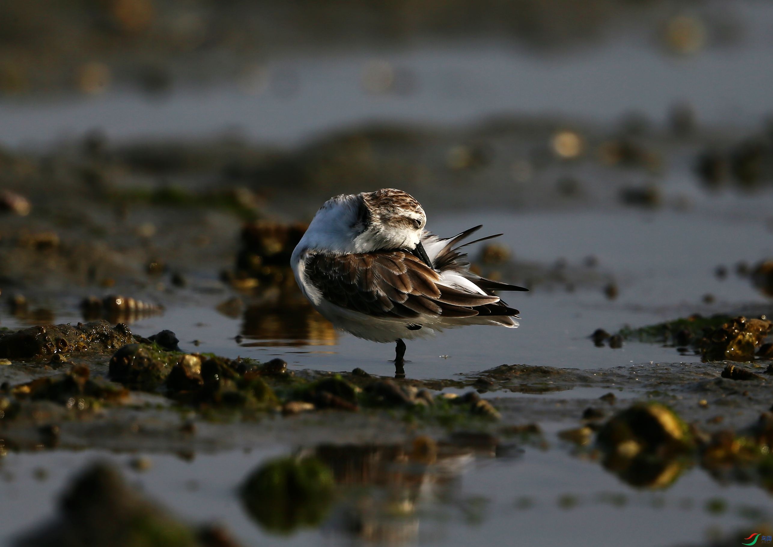 ������ (103).JPG