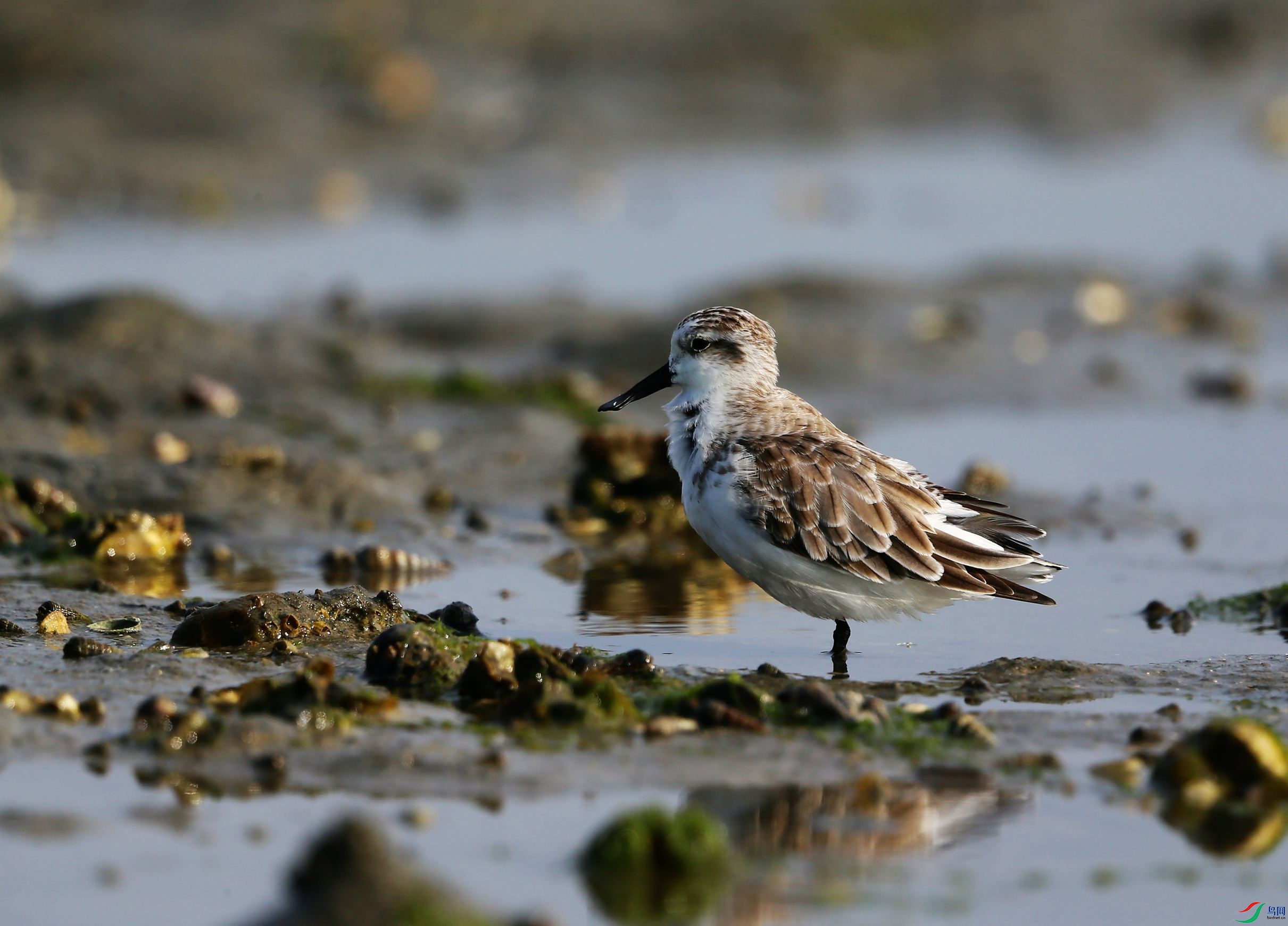 ������ (108).JPG