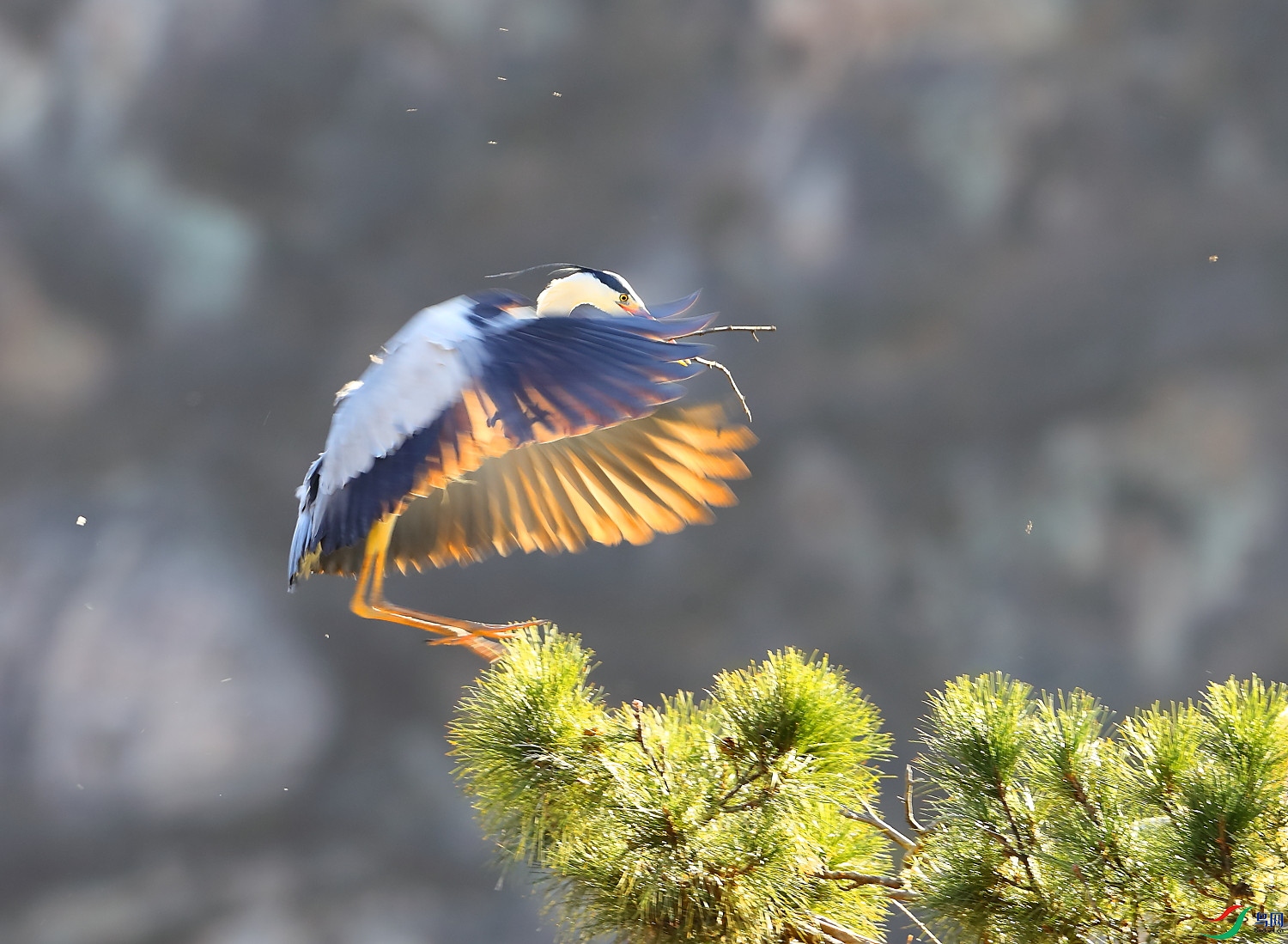 B12I0924 ����.JPG