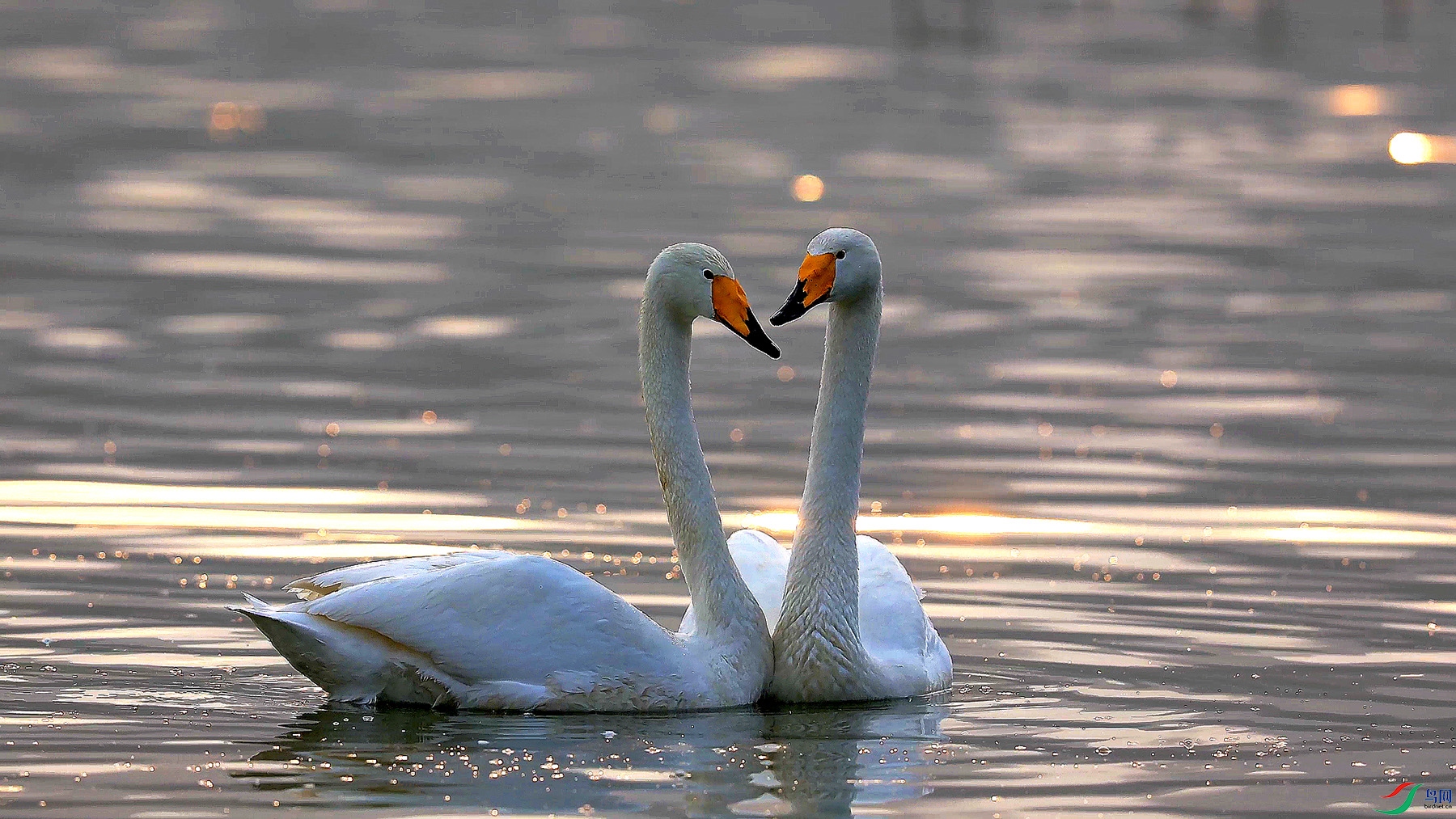 2��9�� (1).jpg