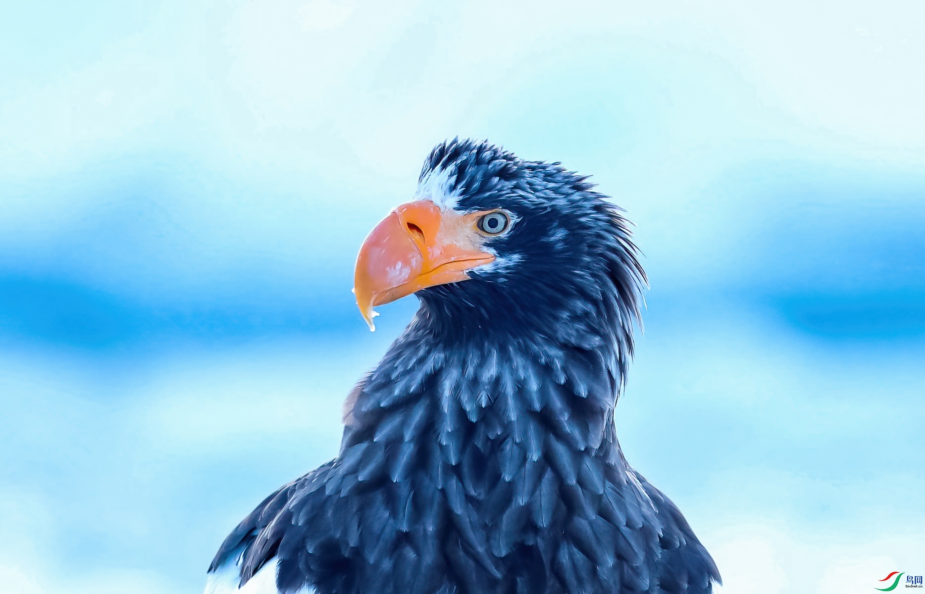 AC3I7207_���� ����.jpg