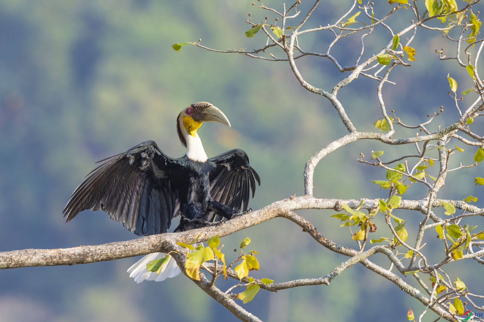 �������Ϭ��