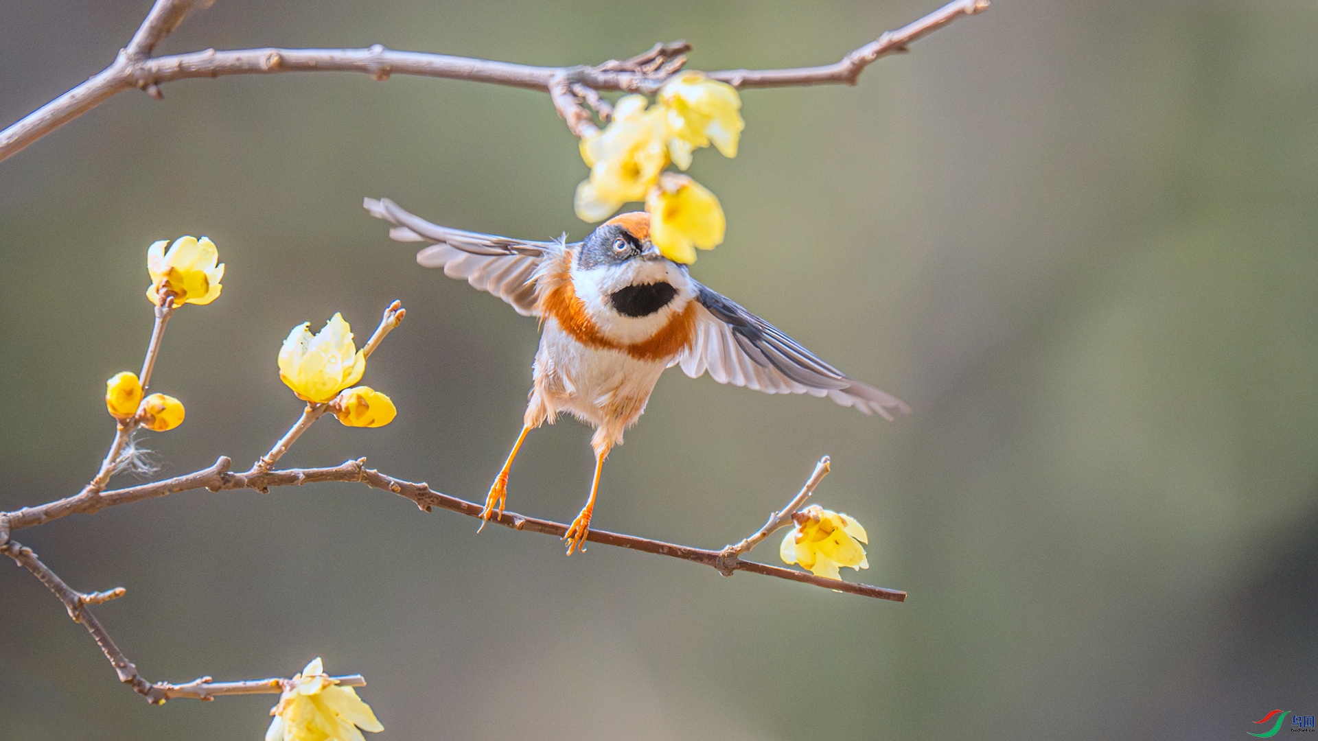 DSC_6064 ����_����.jpg