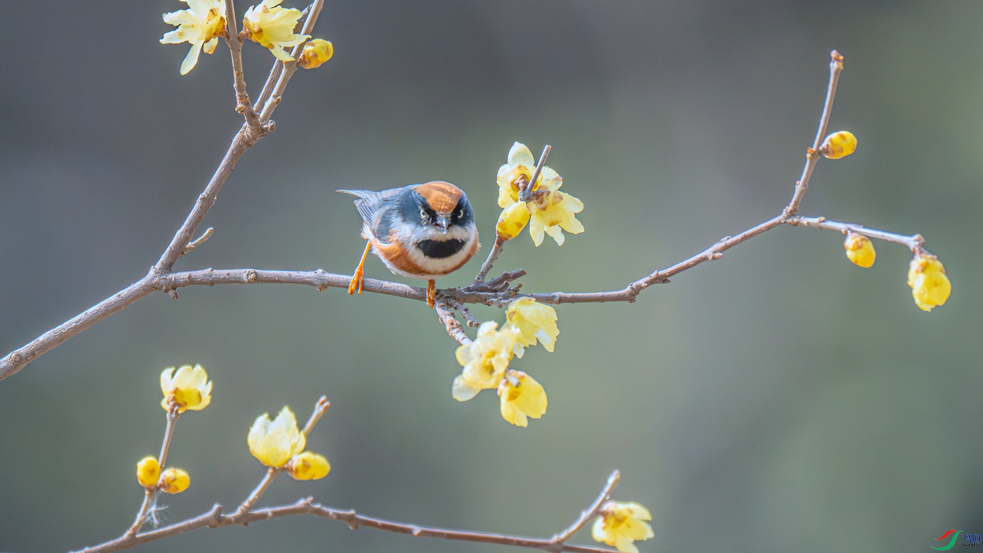 DSC_6140 ����_����.jpg