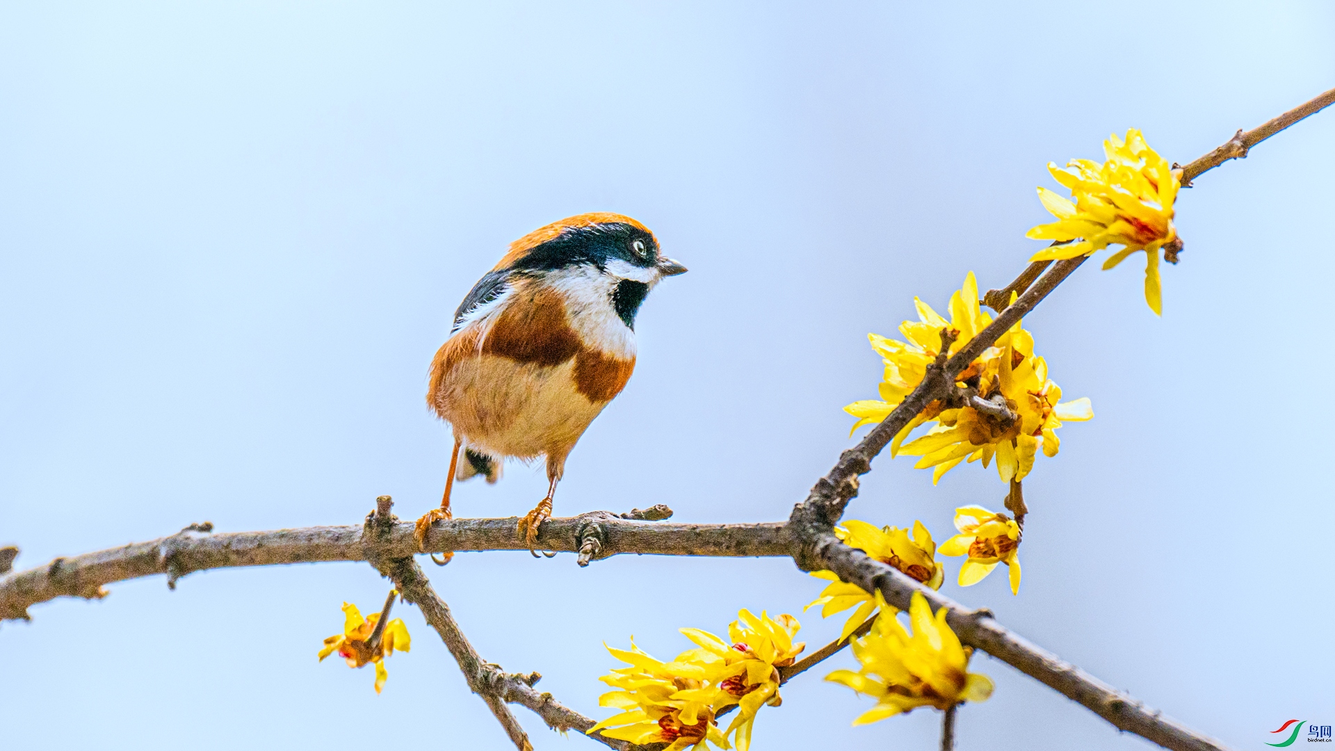 DSC_6199 ����_����.jpg