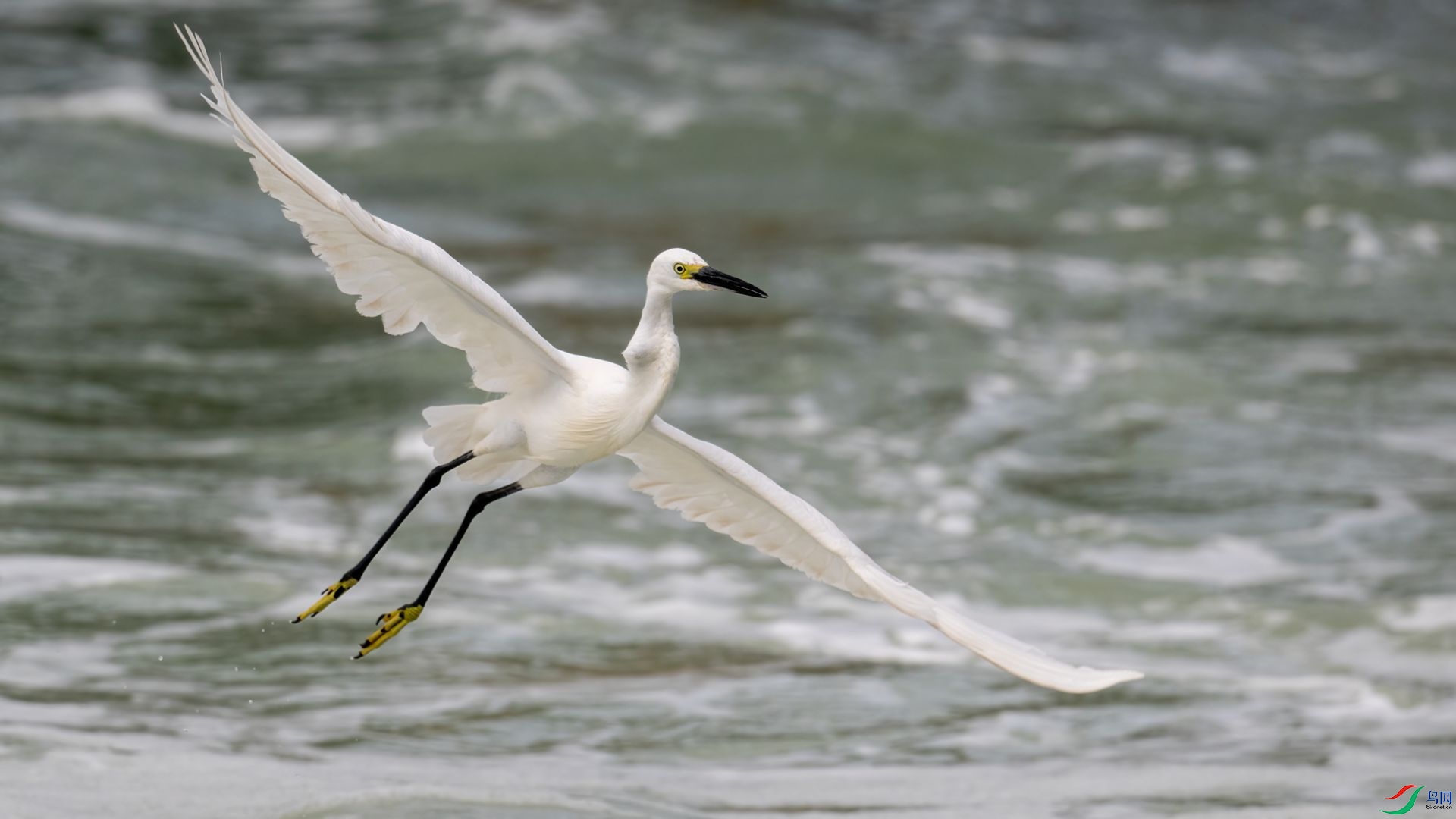 _DSC1088 ����.jpg