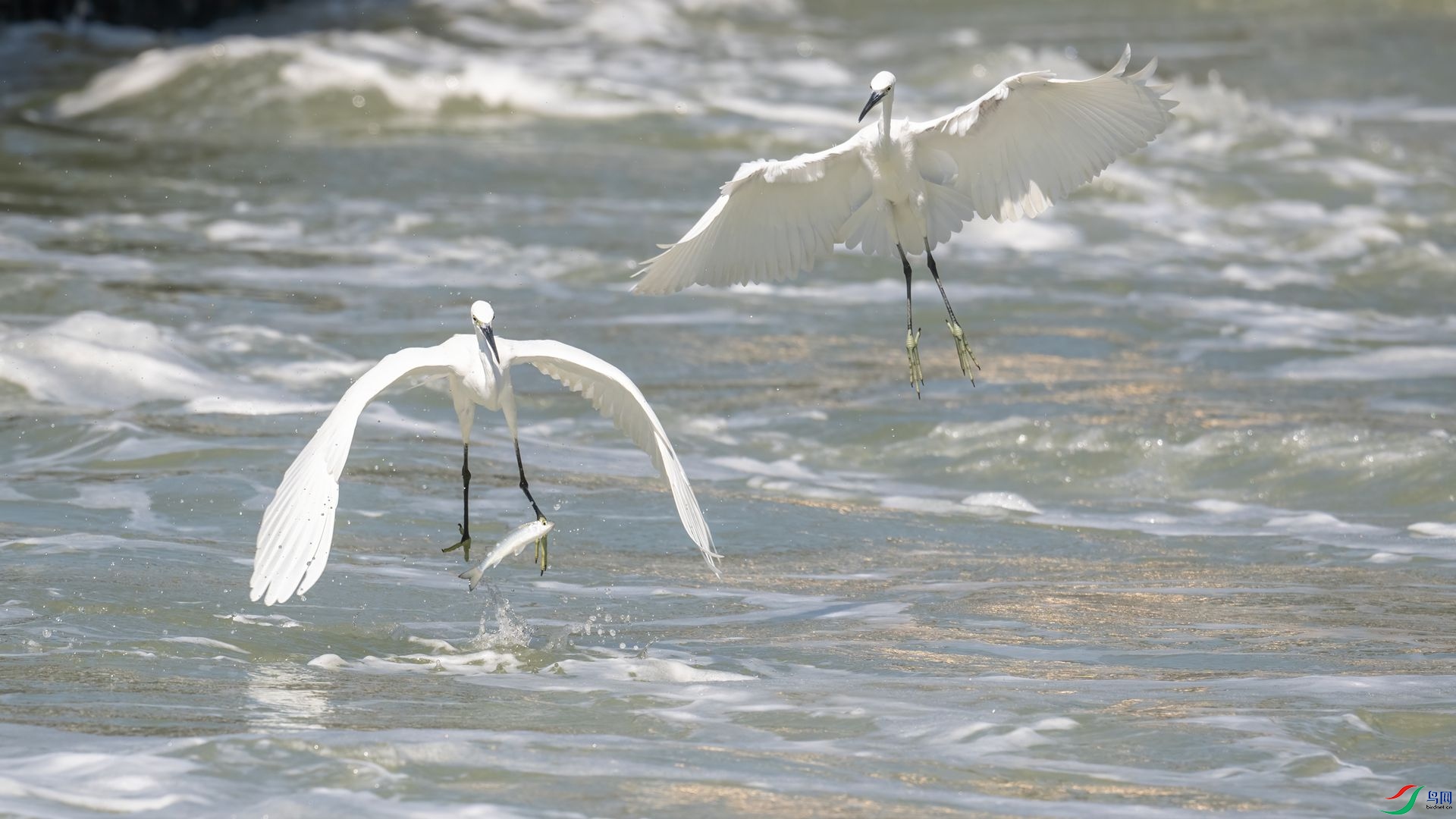 _DSC4273 ����.jpg