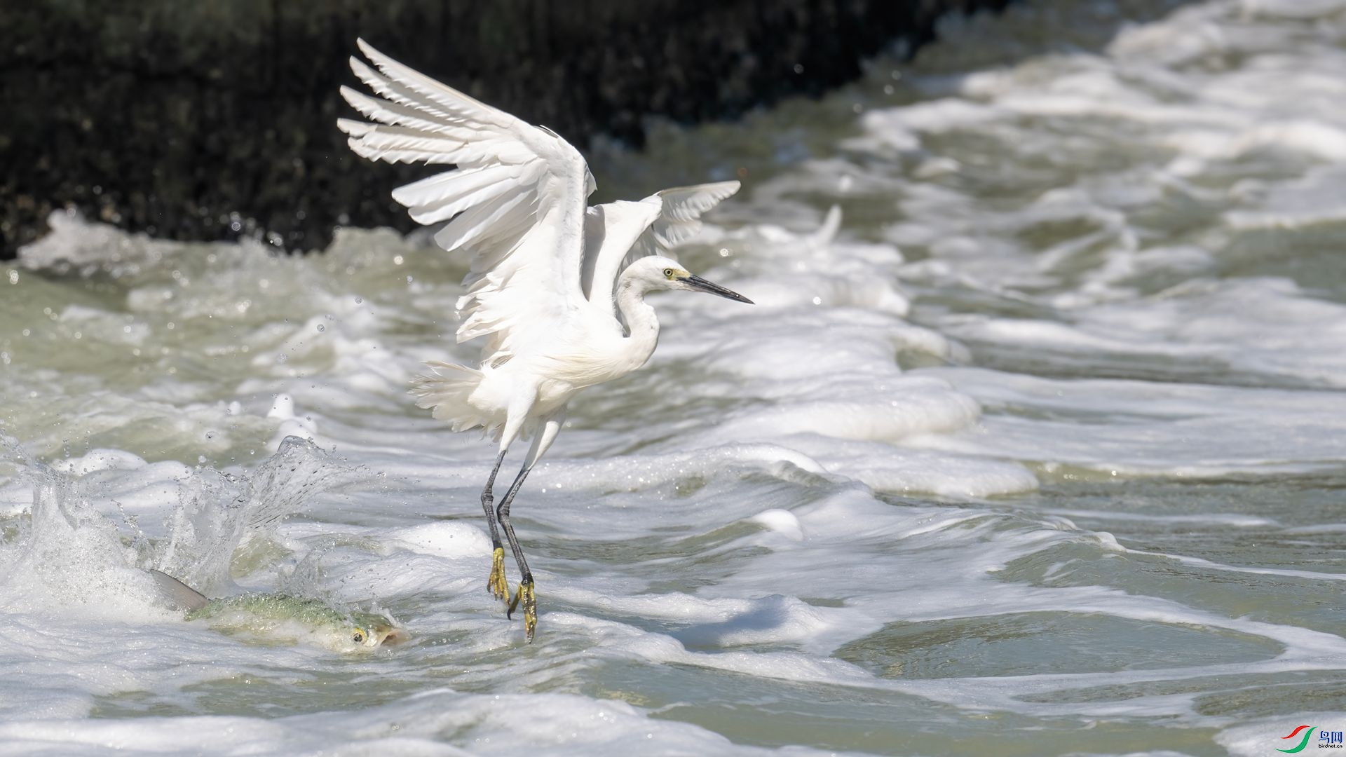 _DSC4824 ����.jpg