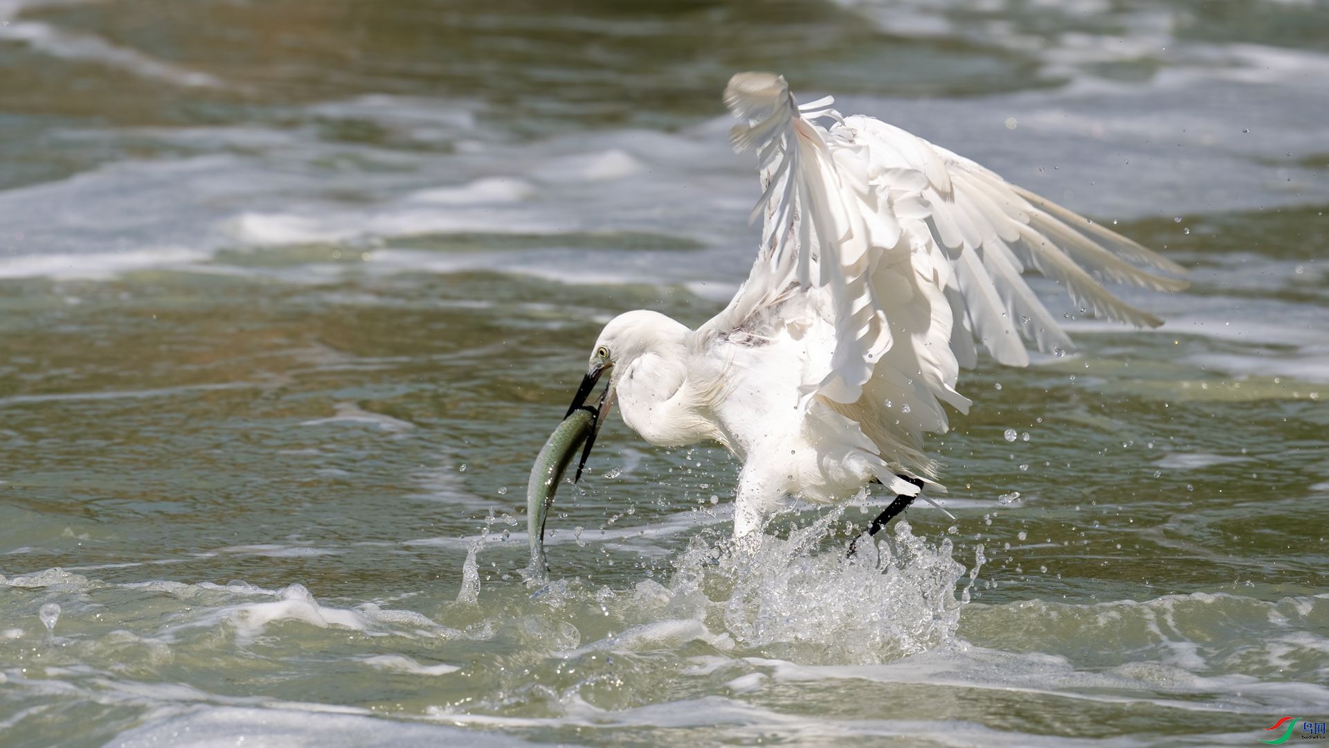 _DSC7183 ����.jpg