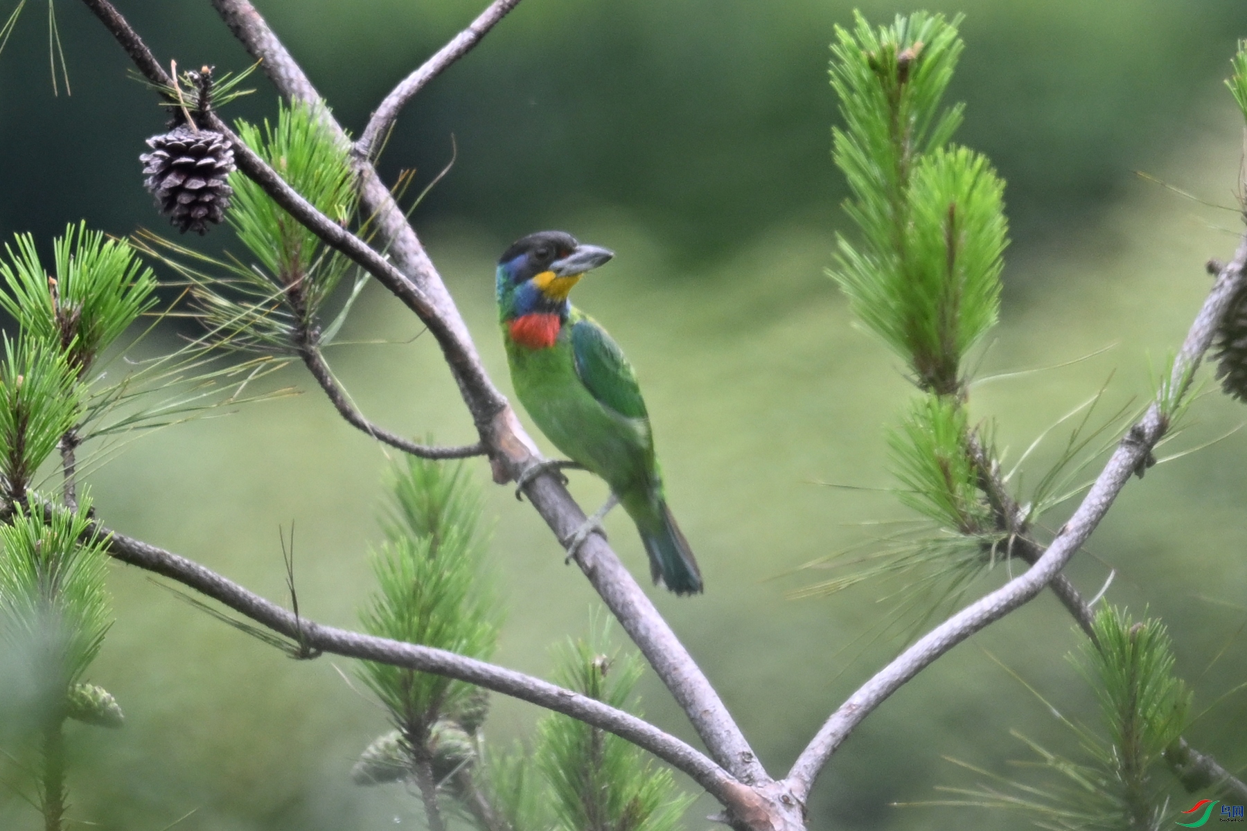 DSC_1642.JPG