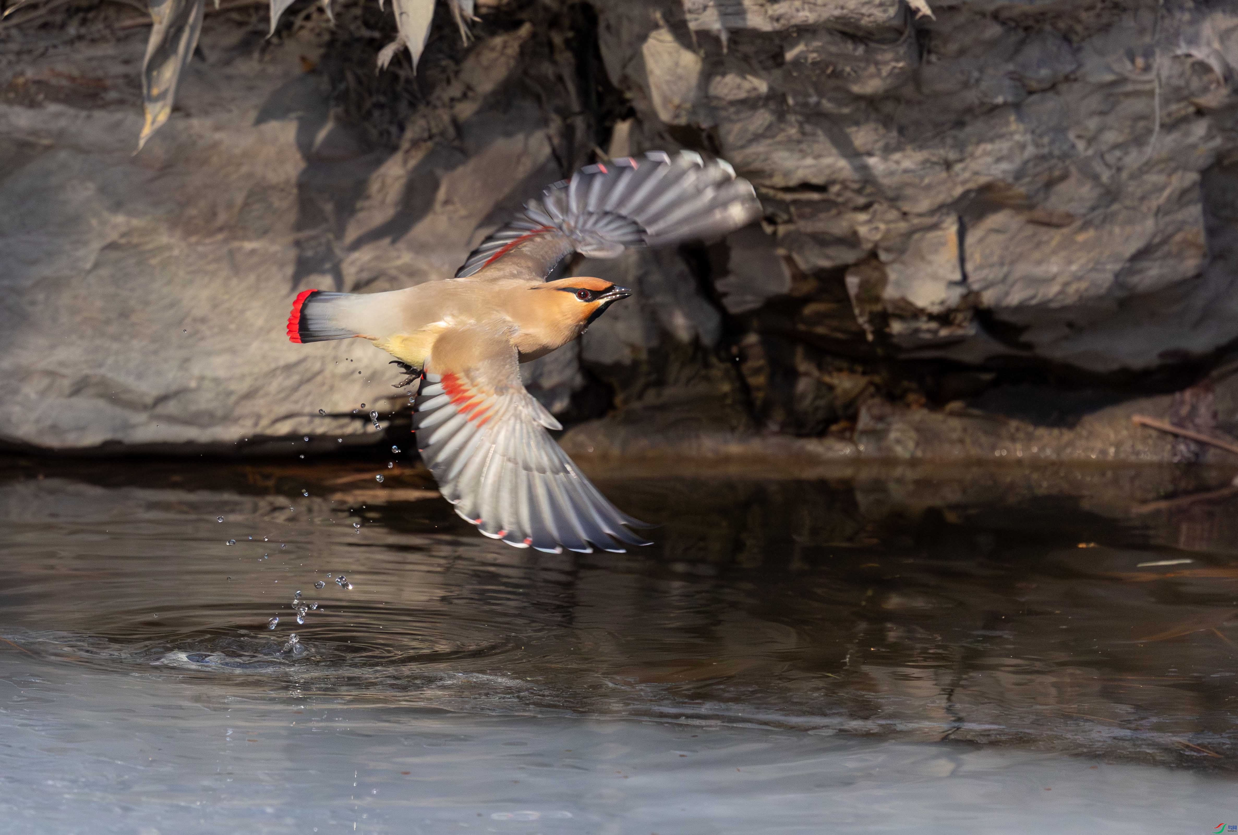 5N2A5779-1 ����.jpg