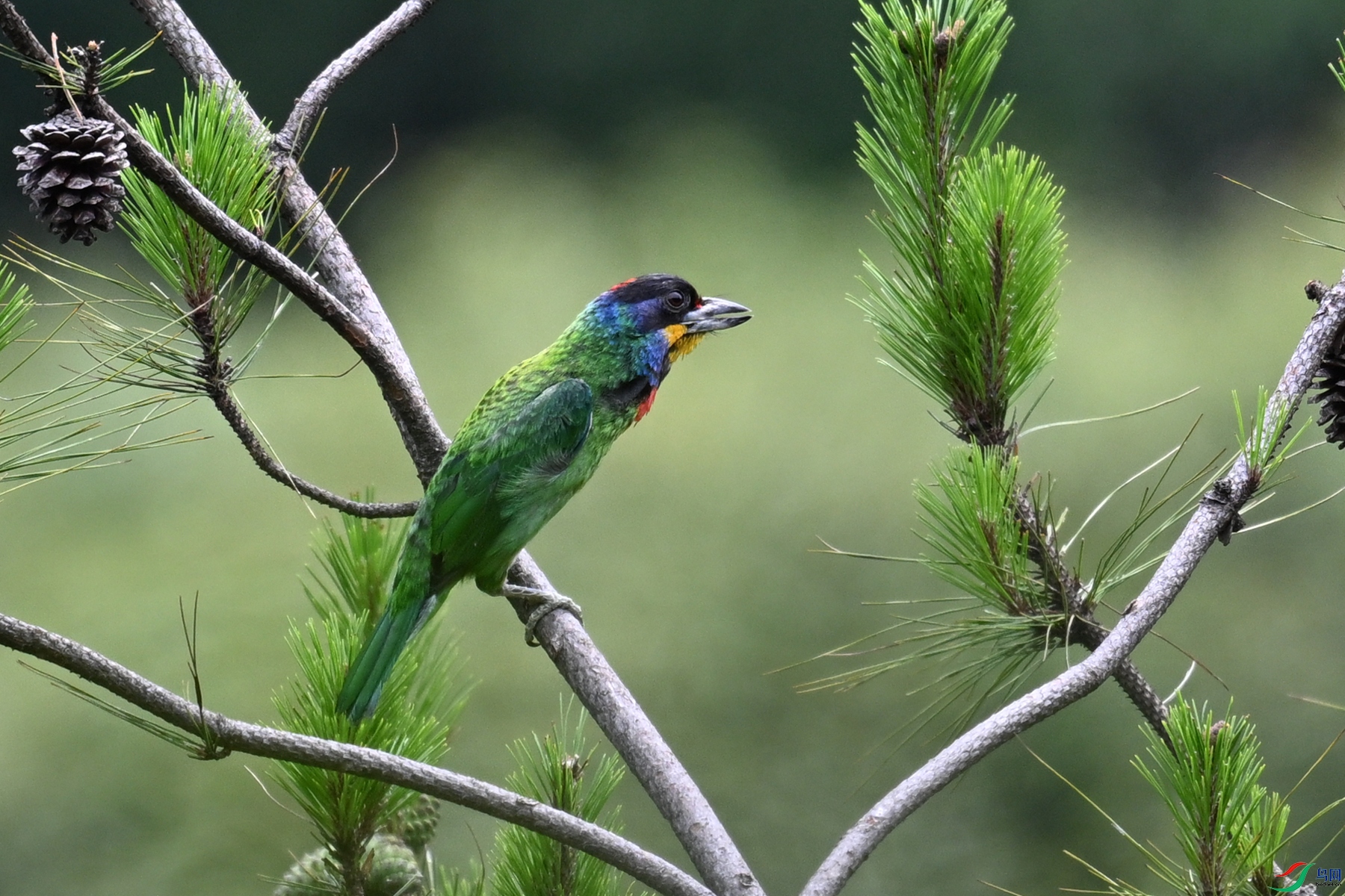 DSC_1666.JPG