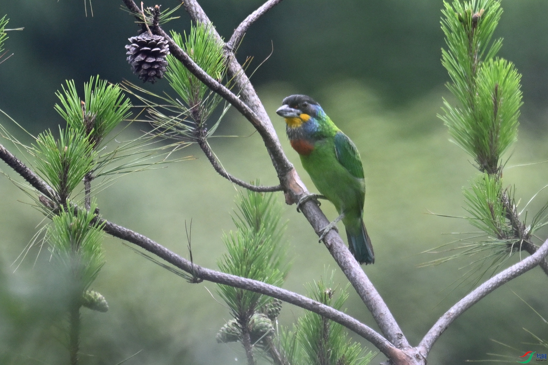 DSC_1654.JPG