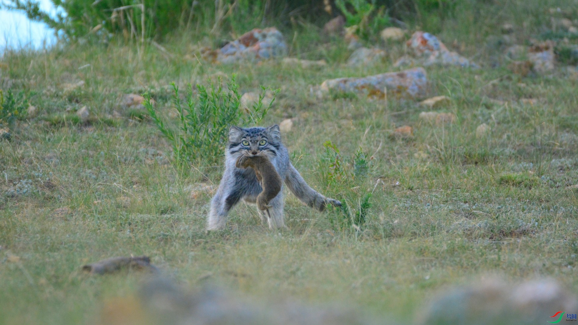 DSC_7794_01.JPG