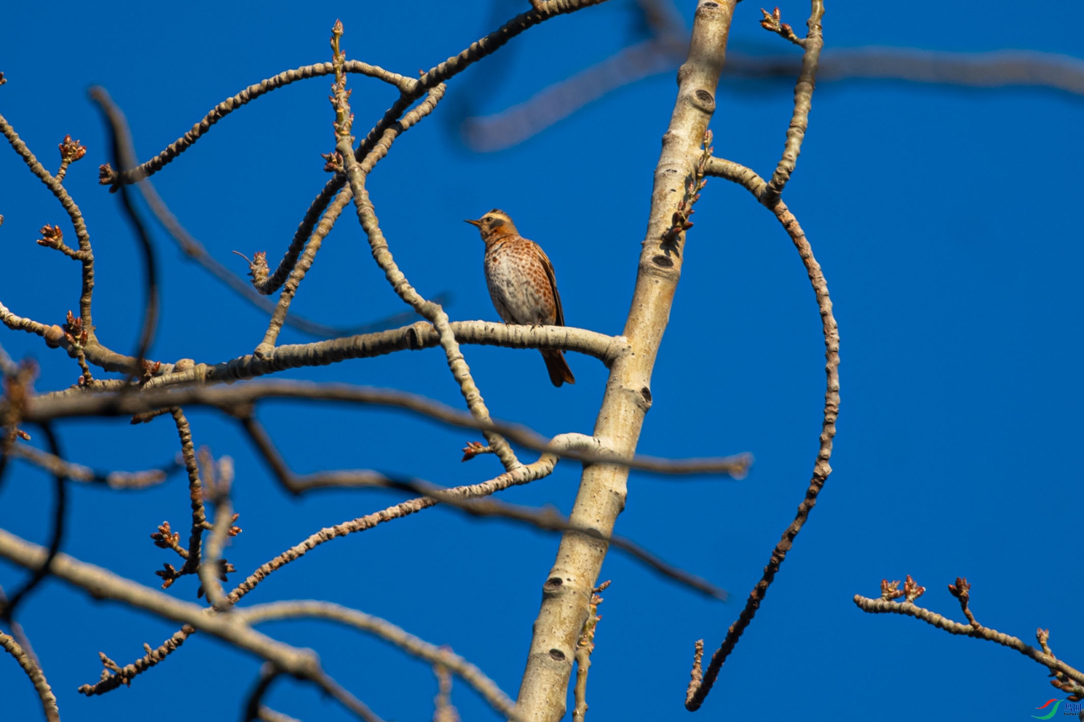 DSC_3138      _1.jpg