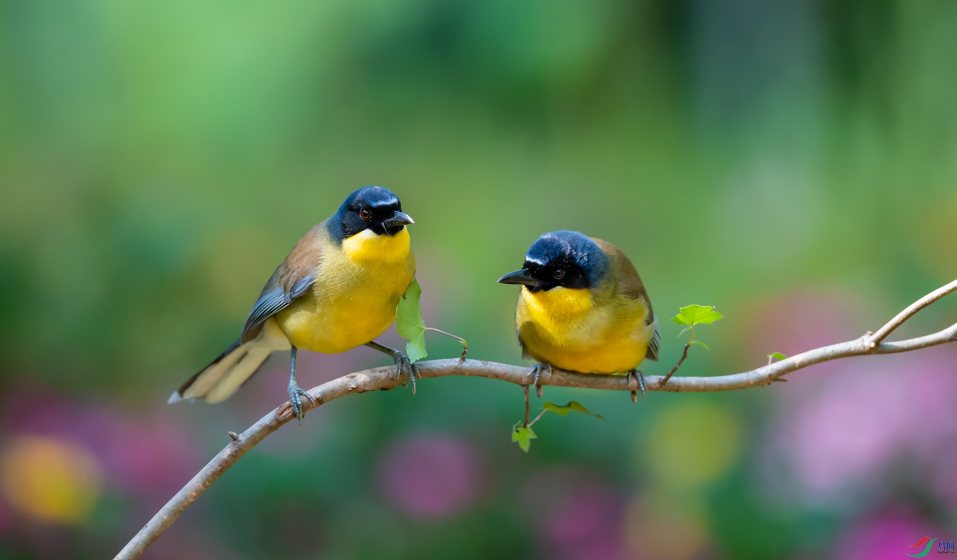 �ƺ����� - ����.jpg