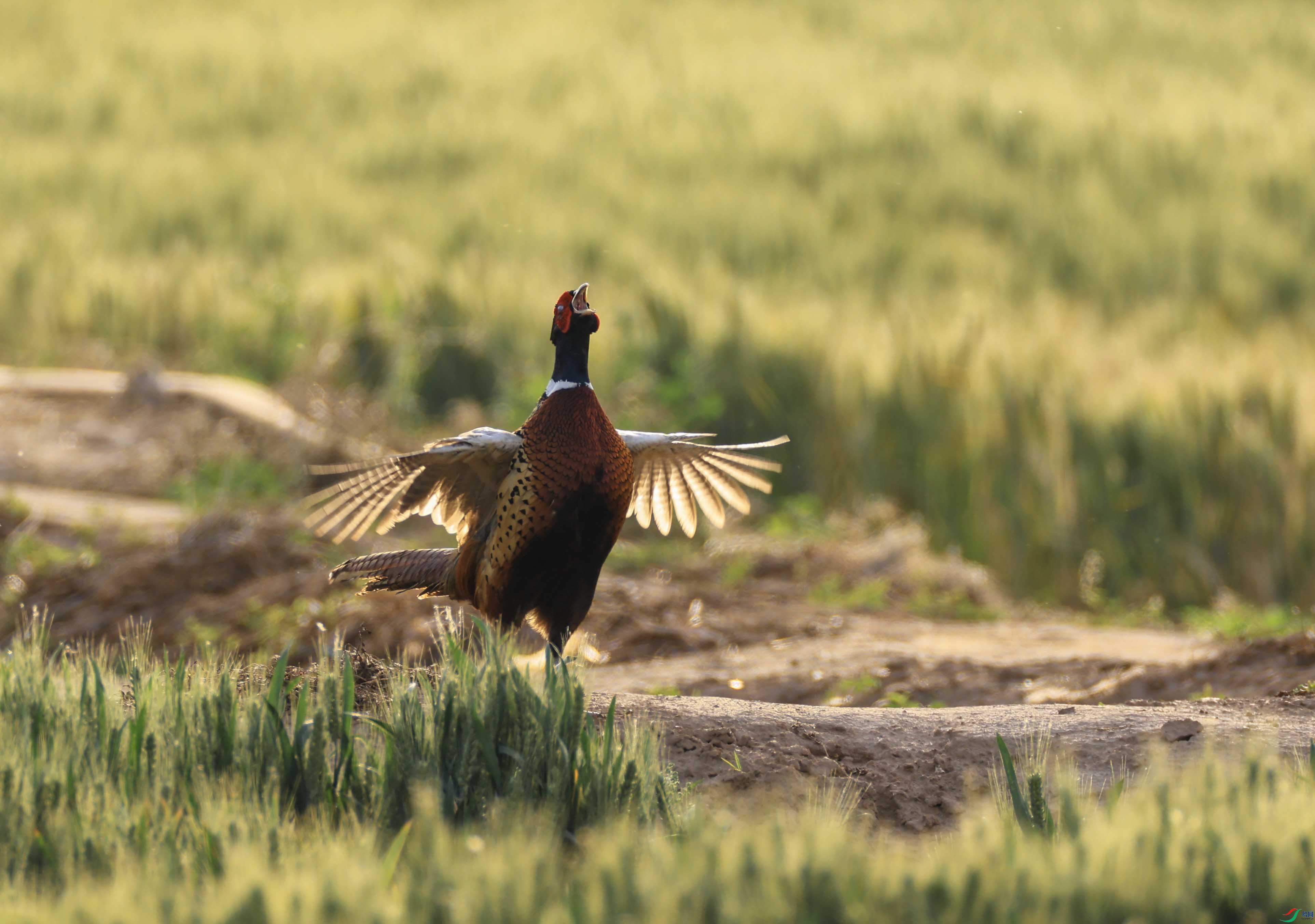 1-xt4L2A6709 ����.jpg