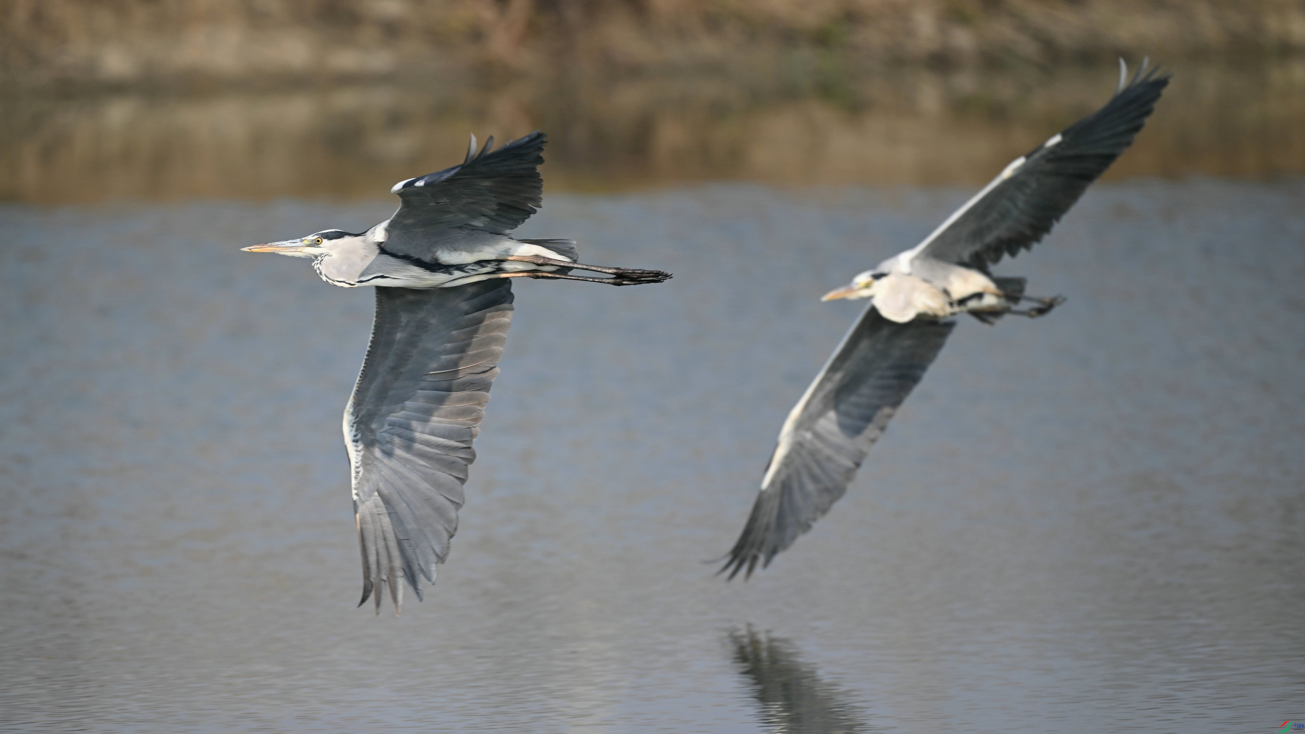 DSC_9189.jpg