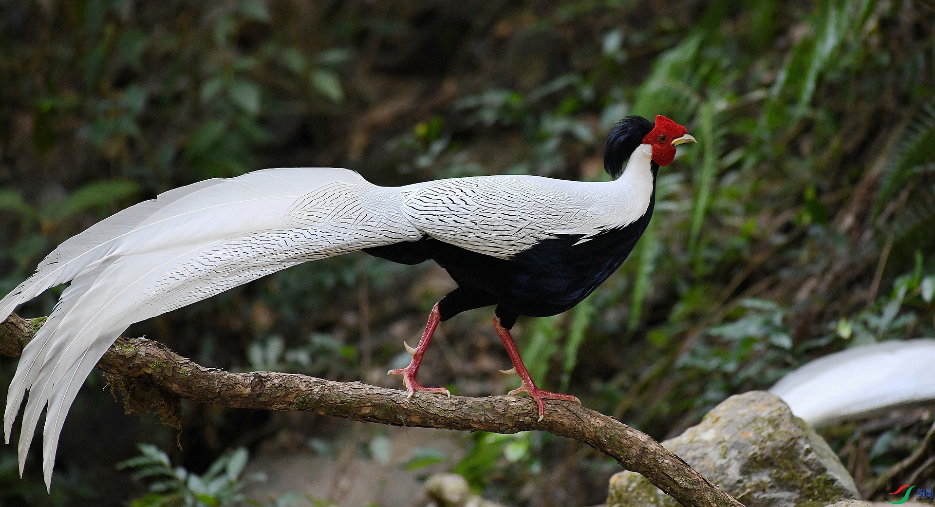 DSC_0083.jpg