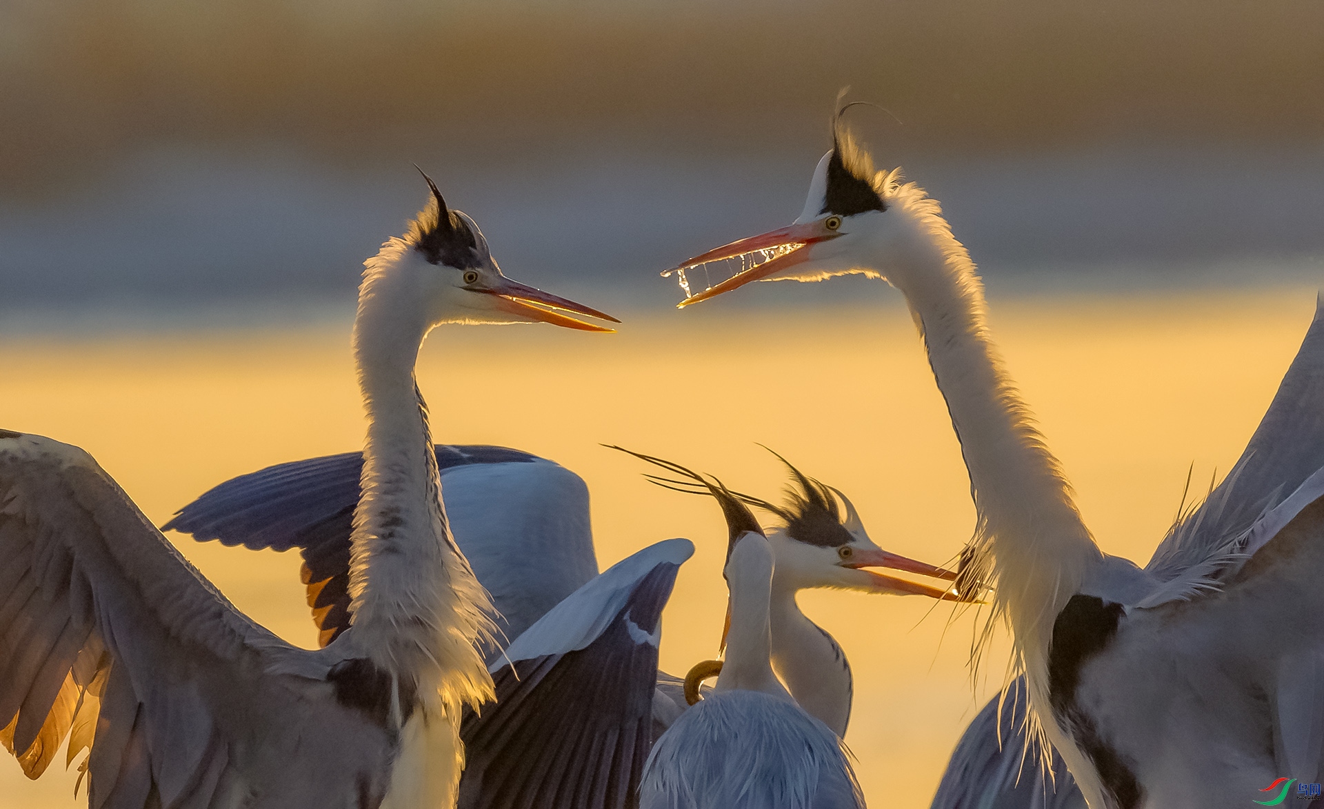 0E8A5743  ���� 03.jpg