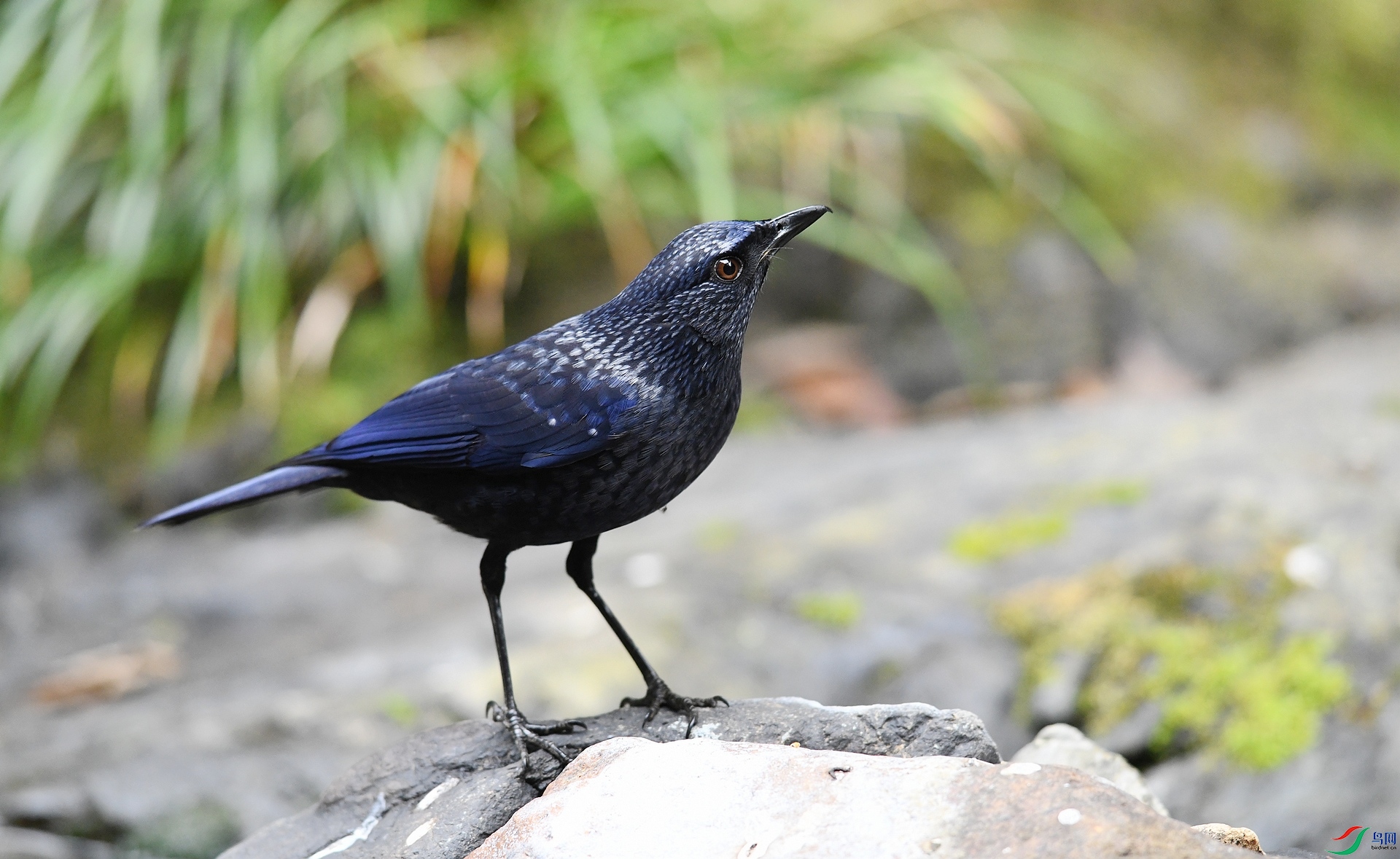 DSC_3448.jpg