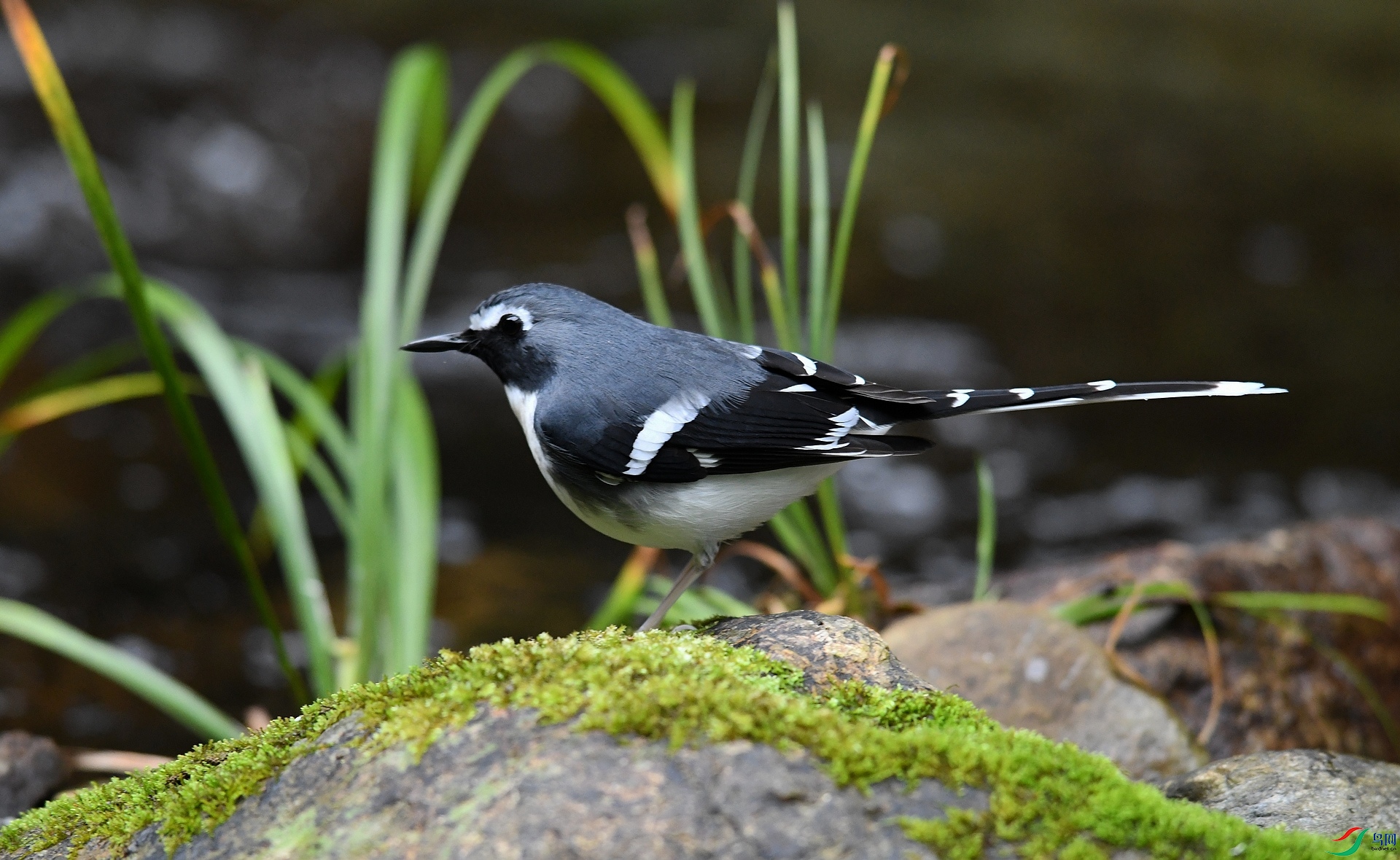 DSC_3479.jpg