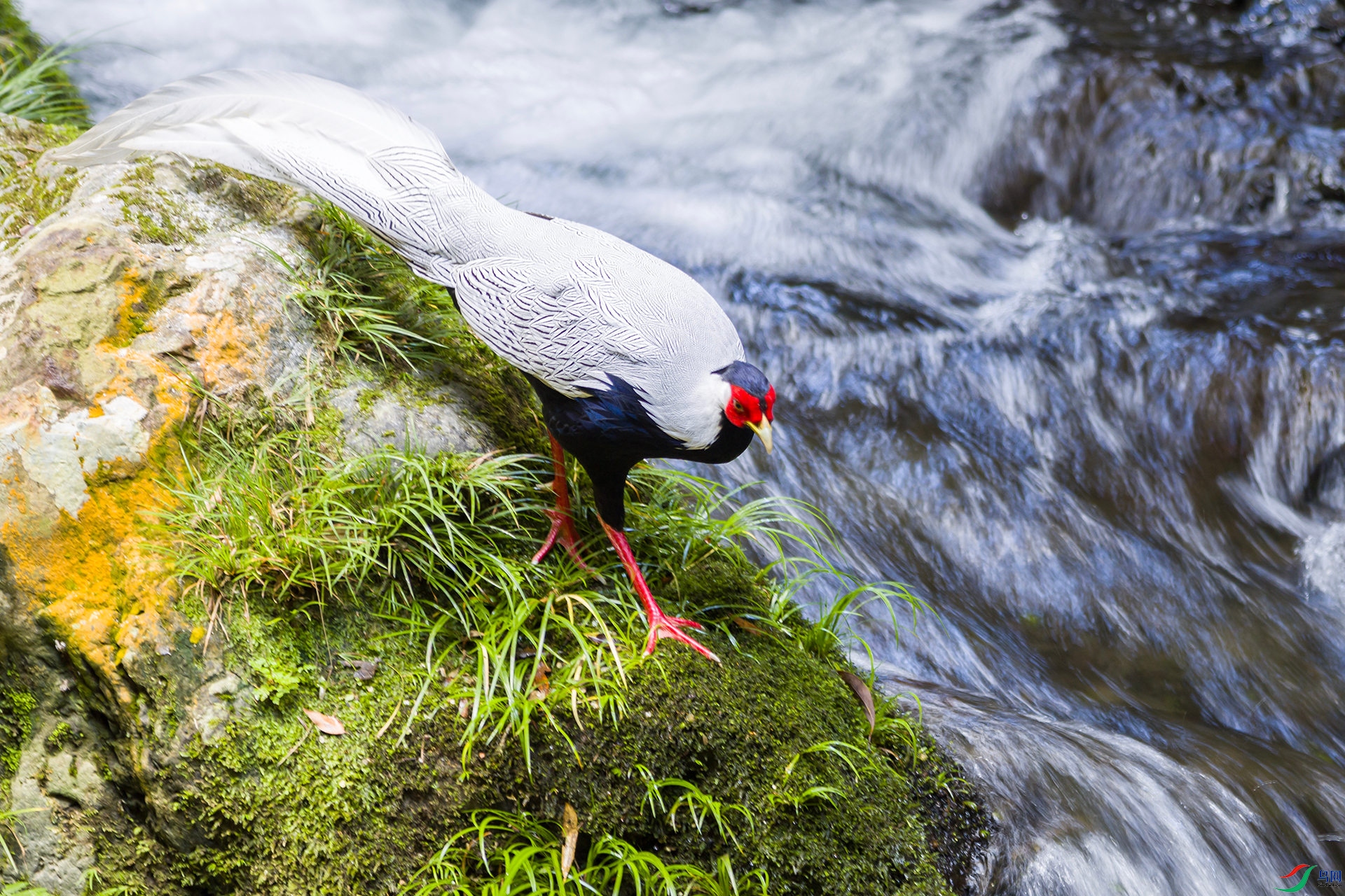 2H6A9204 ����_����.jpg