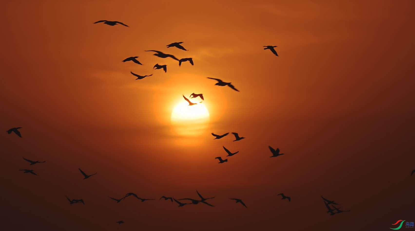 {89850FC9-8186-432F-B9E2-A8A613CFA680} ����.jpg