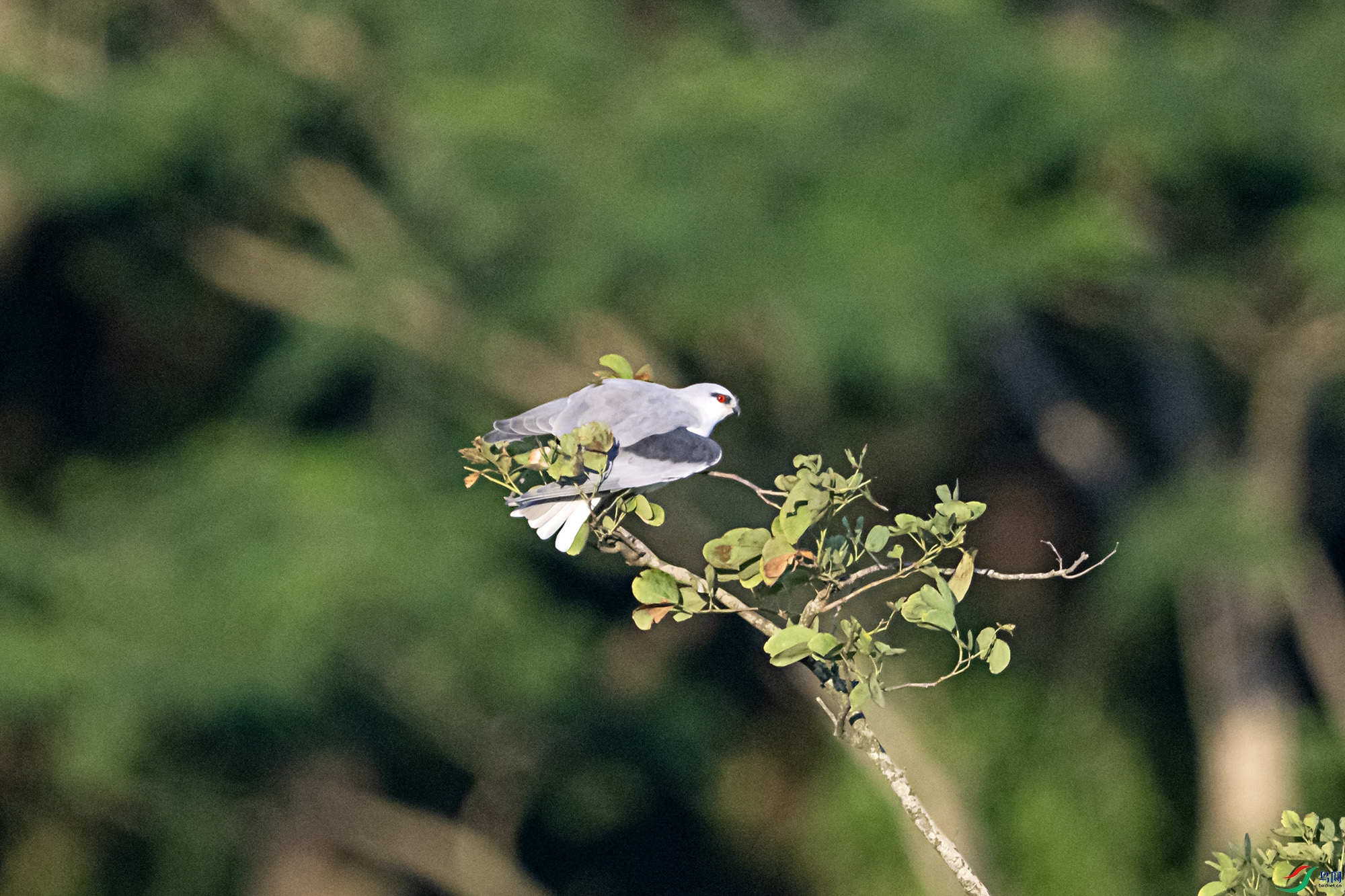 DSC_6410.jpg