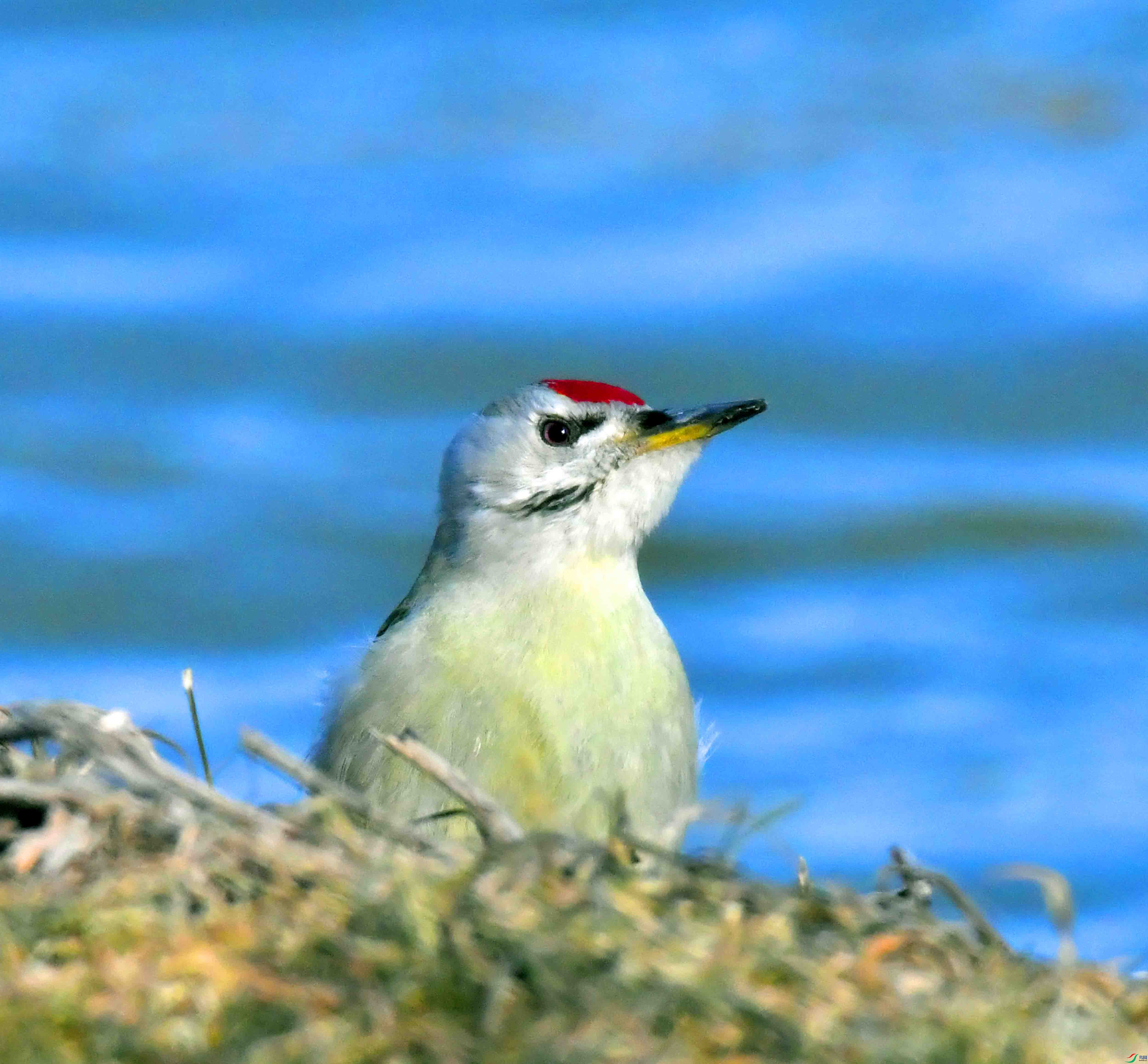 DSC_1839.JPG