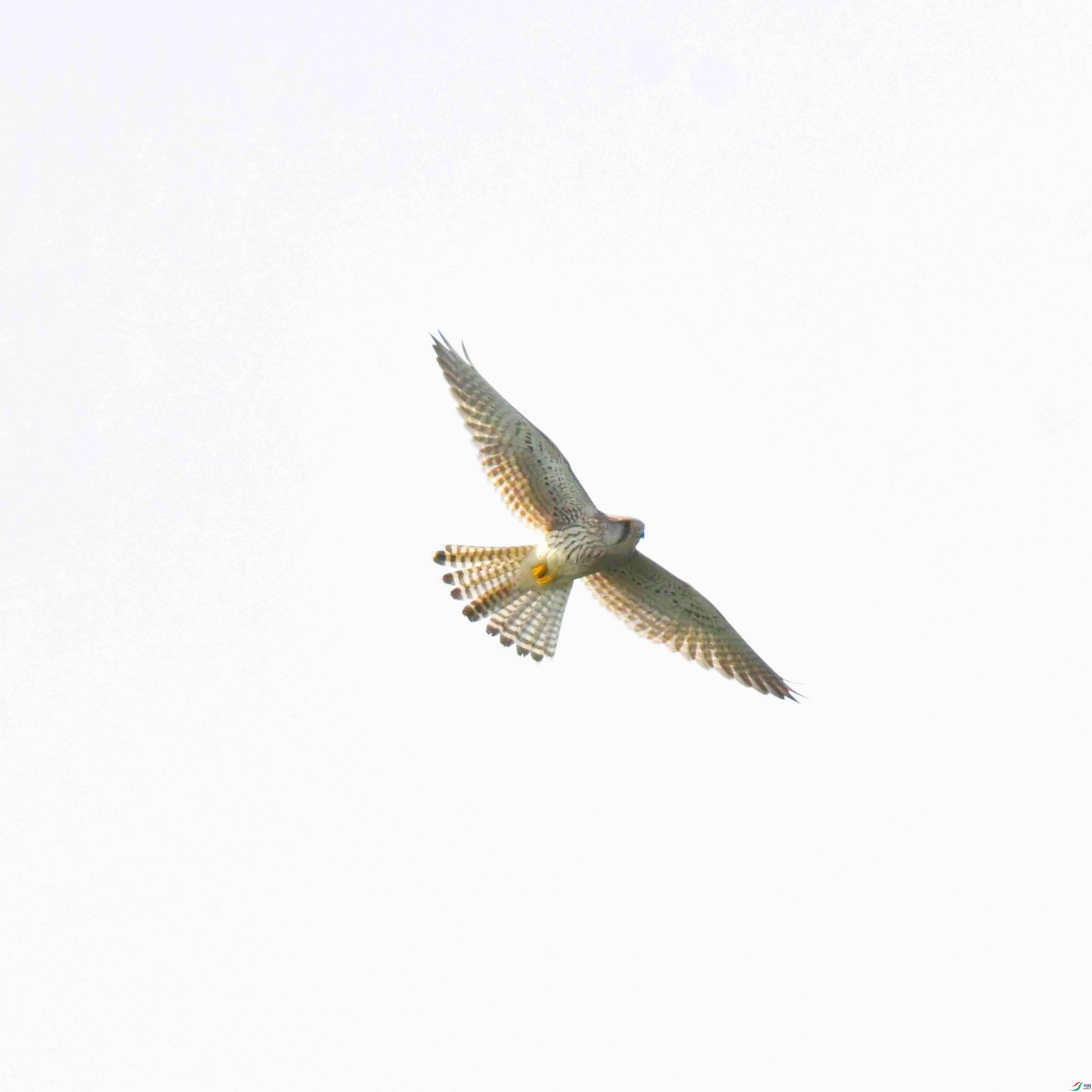 DSC_3024.JPG
