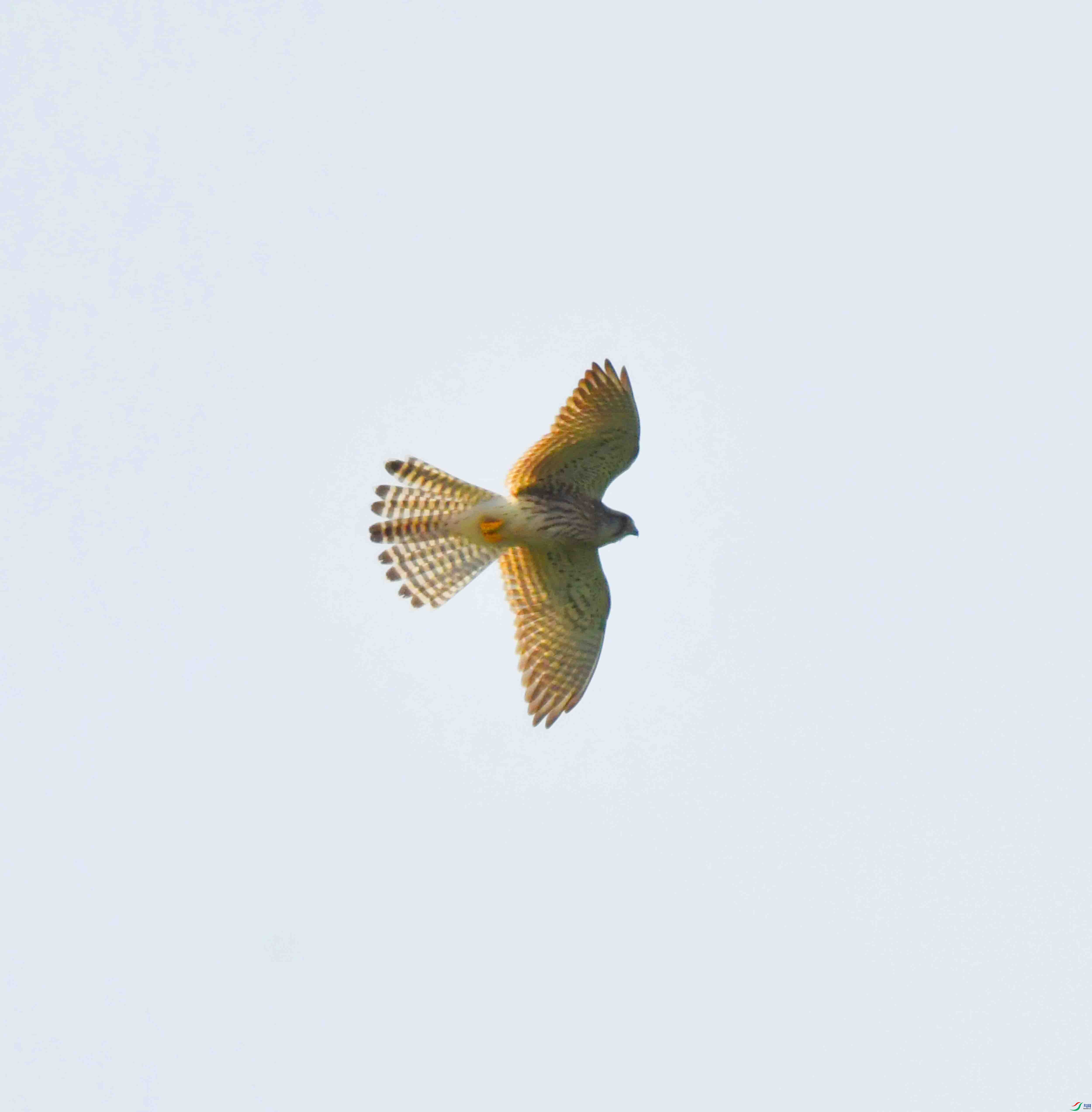DSC_3027.JPG