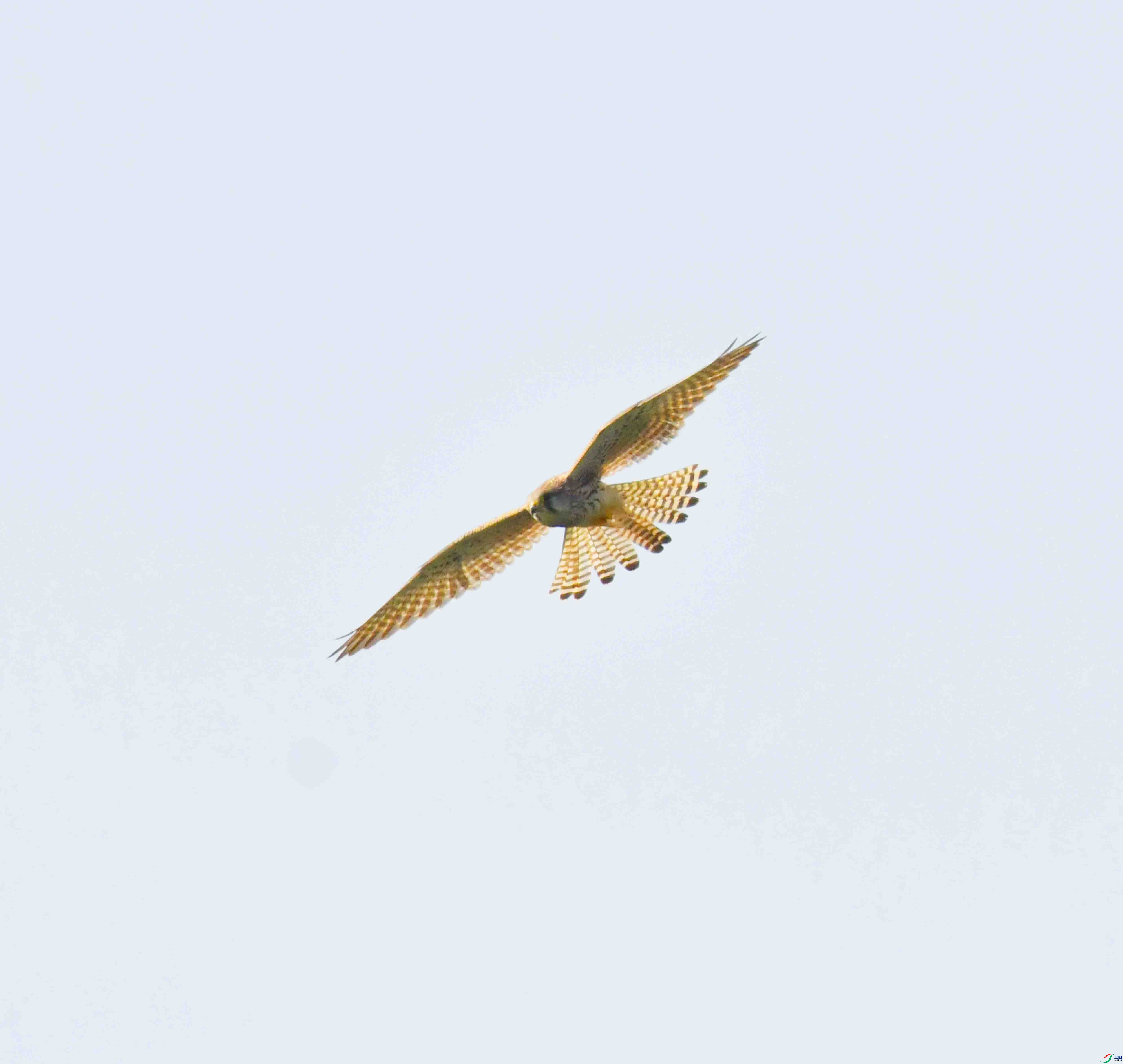 DSC_3037.JPG