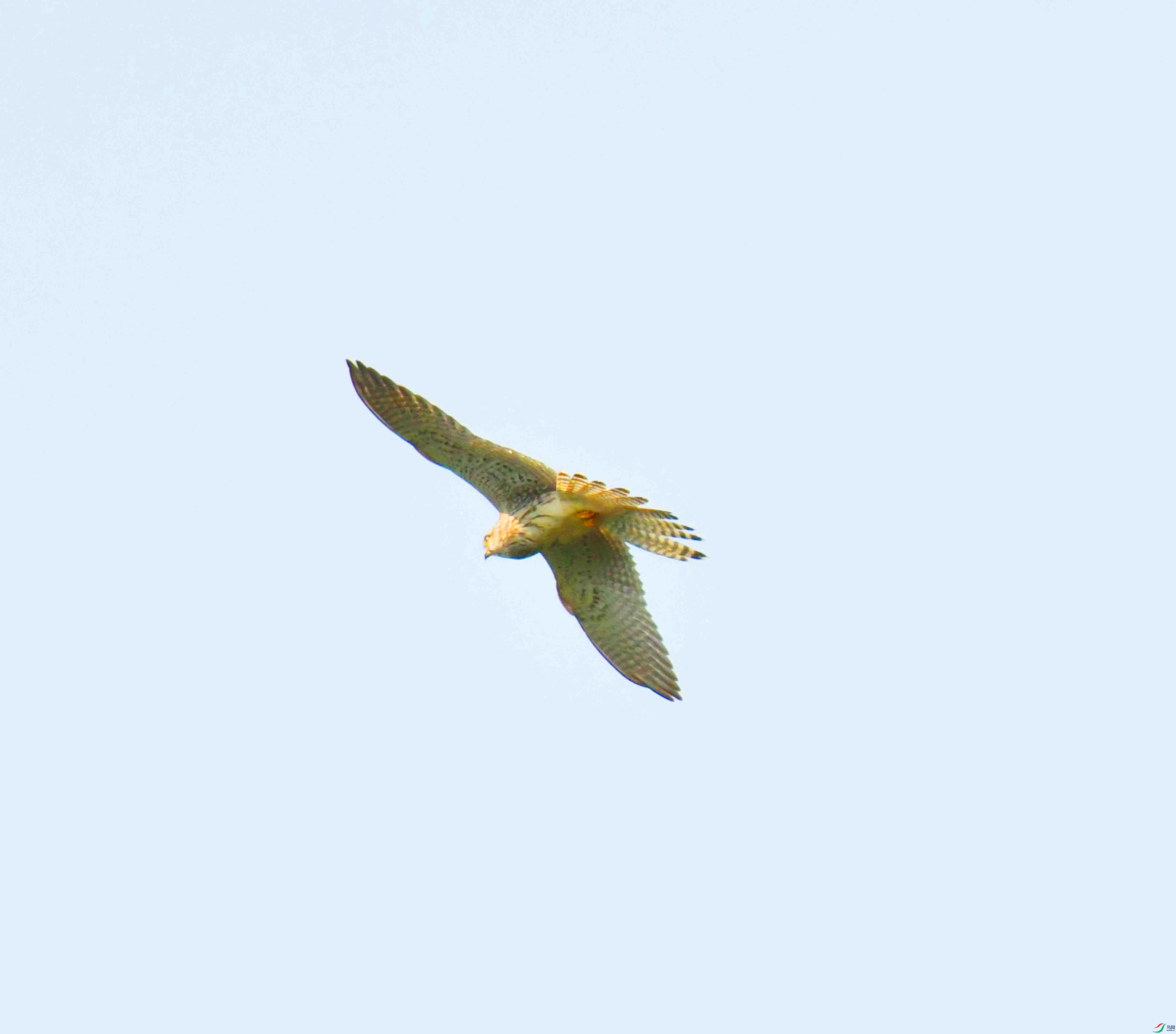 DSC_3039.JPG