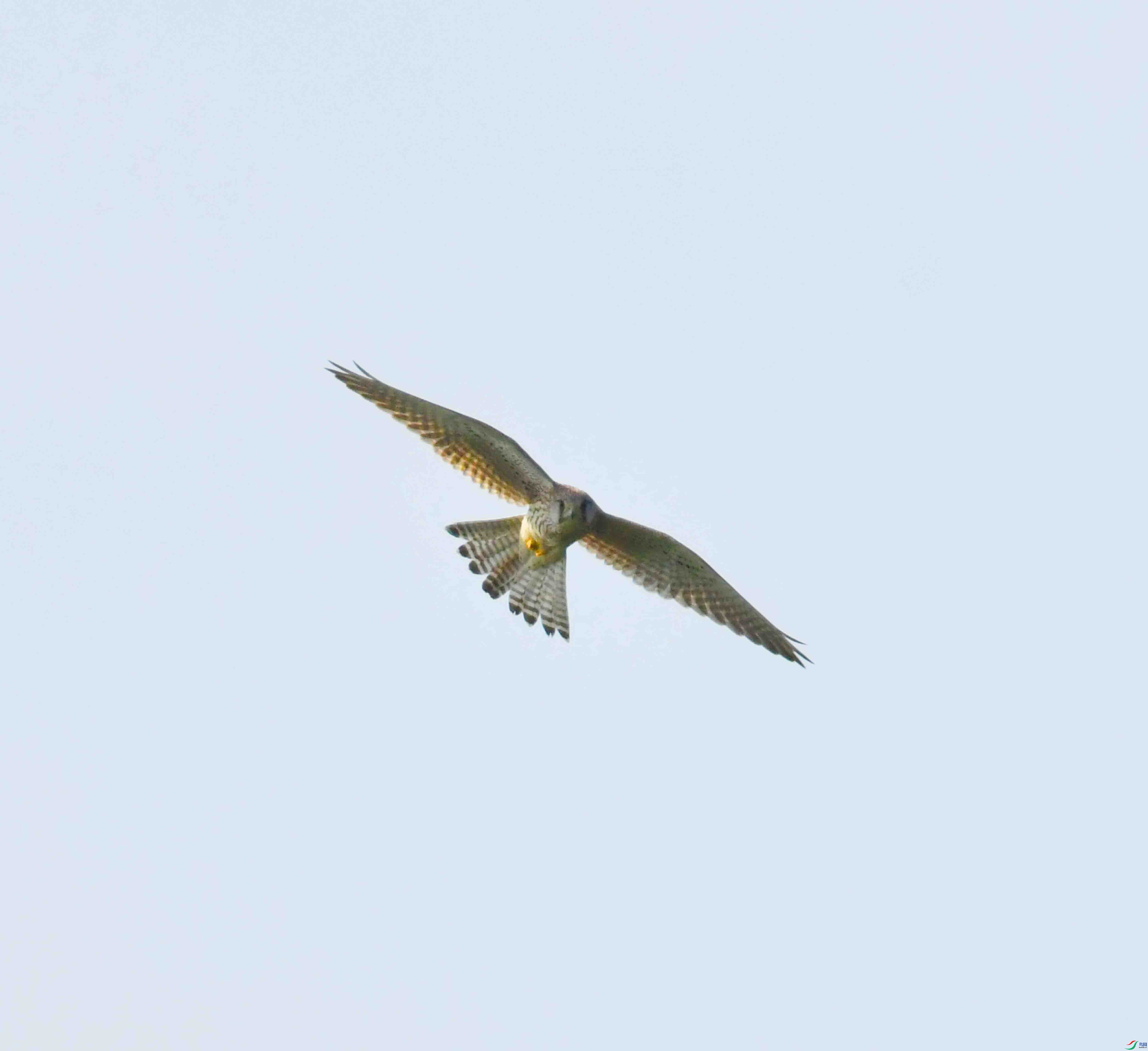 DSC_3040.JPG