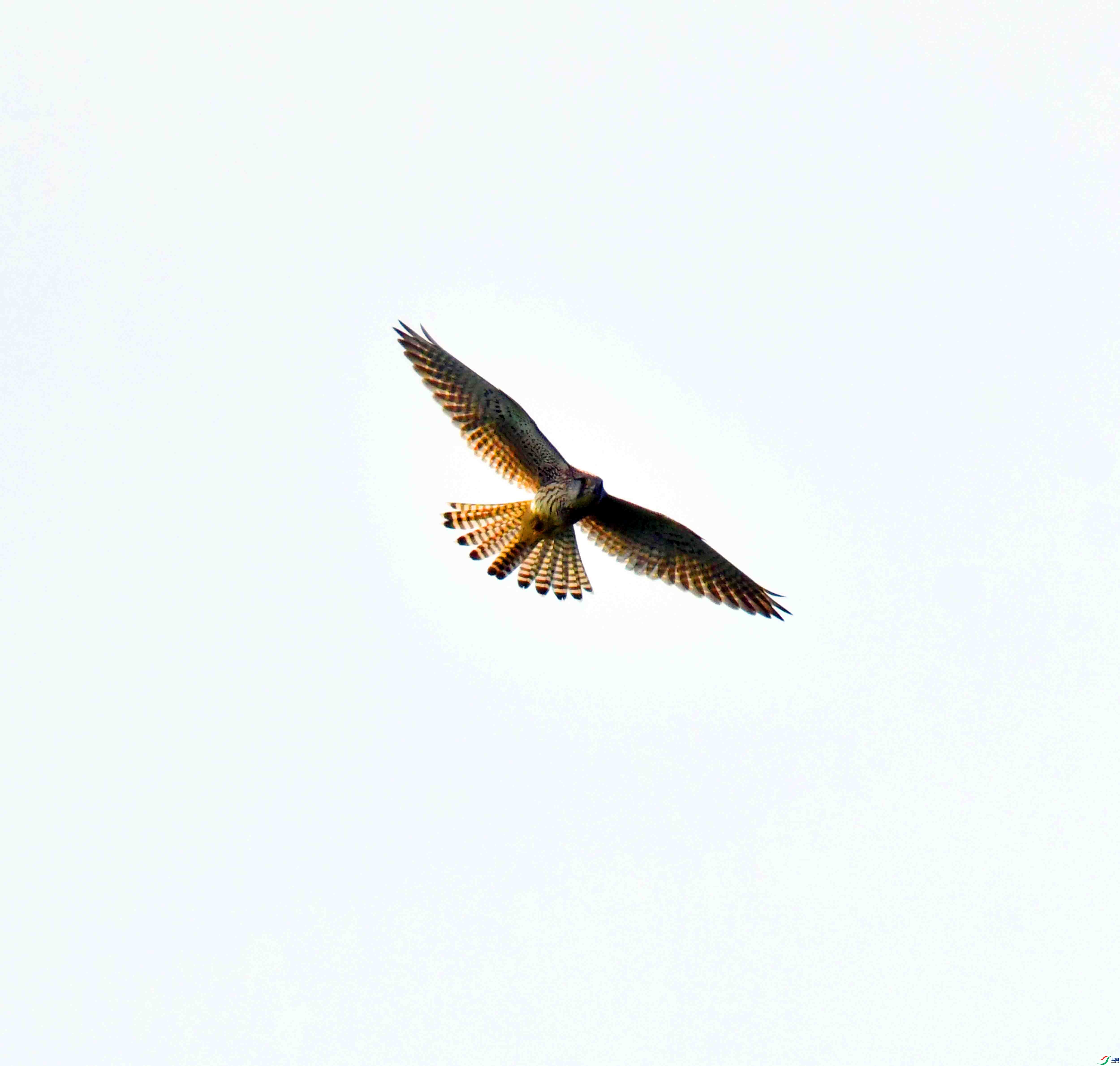 DSC_3051.JPG