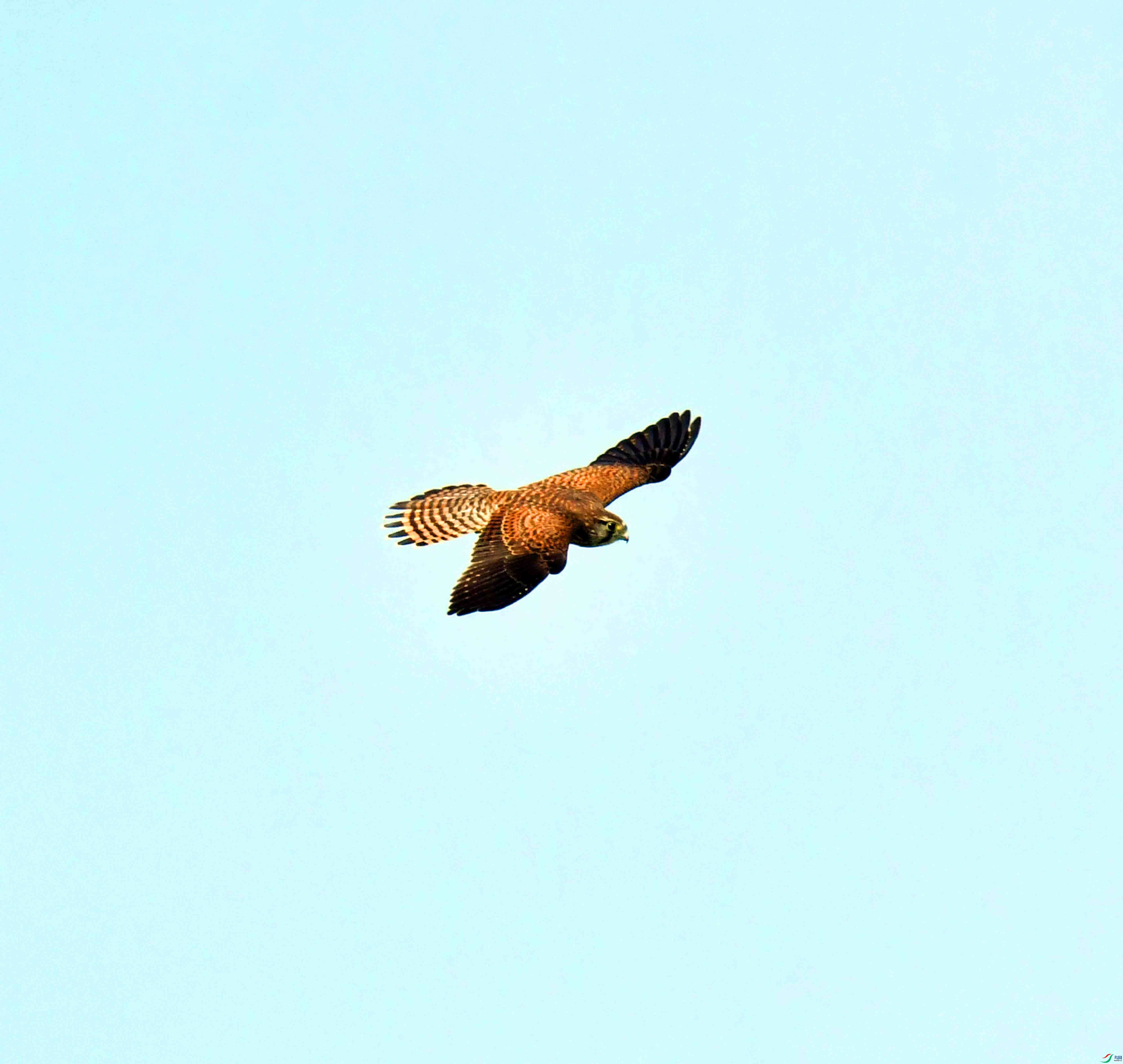 DSC_5711.JPG
