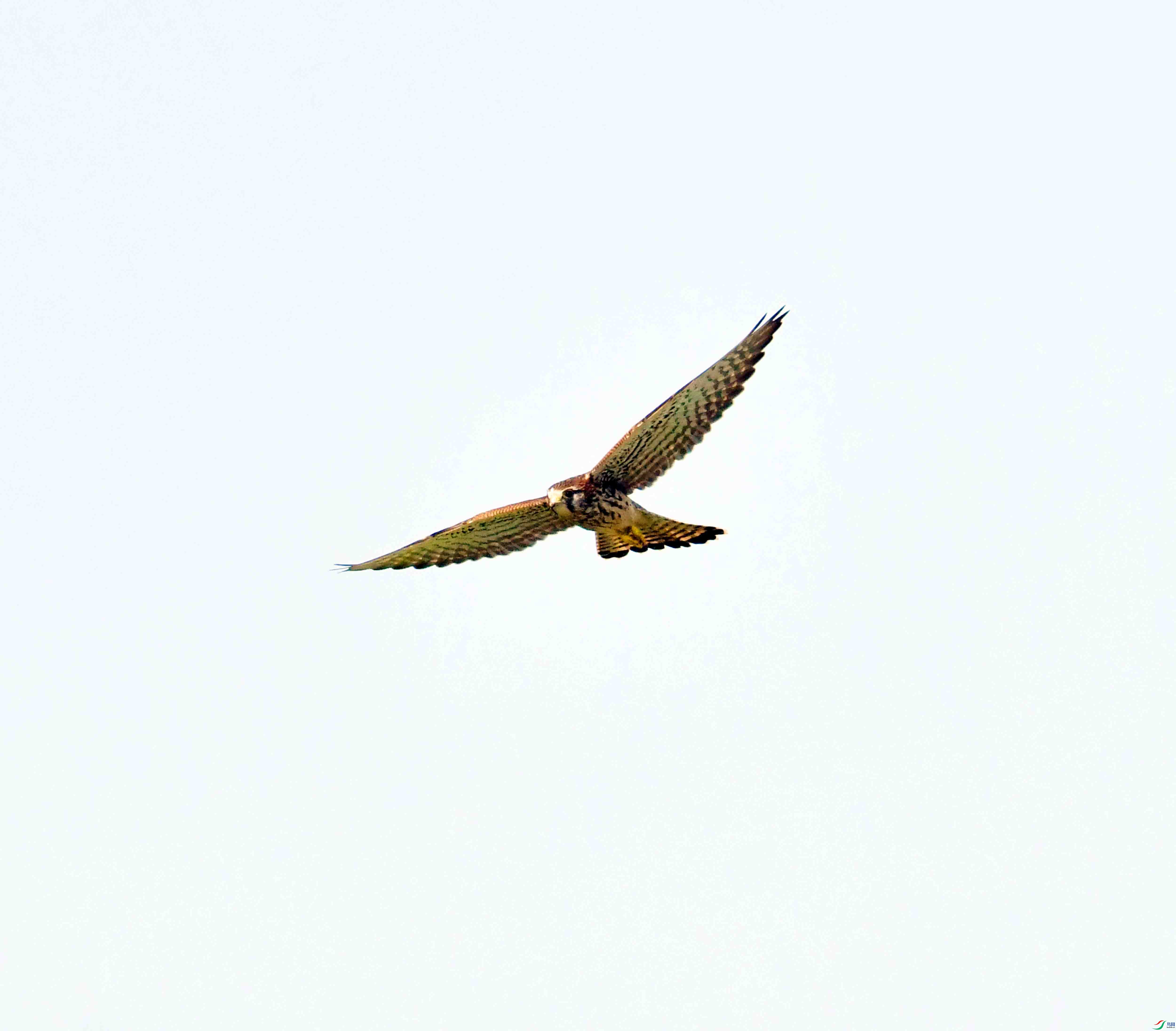 DSC_5714.JPG