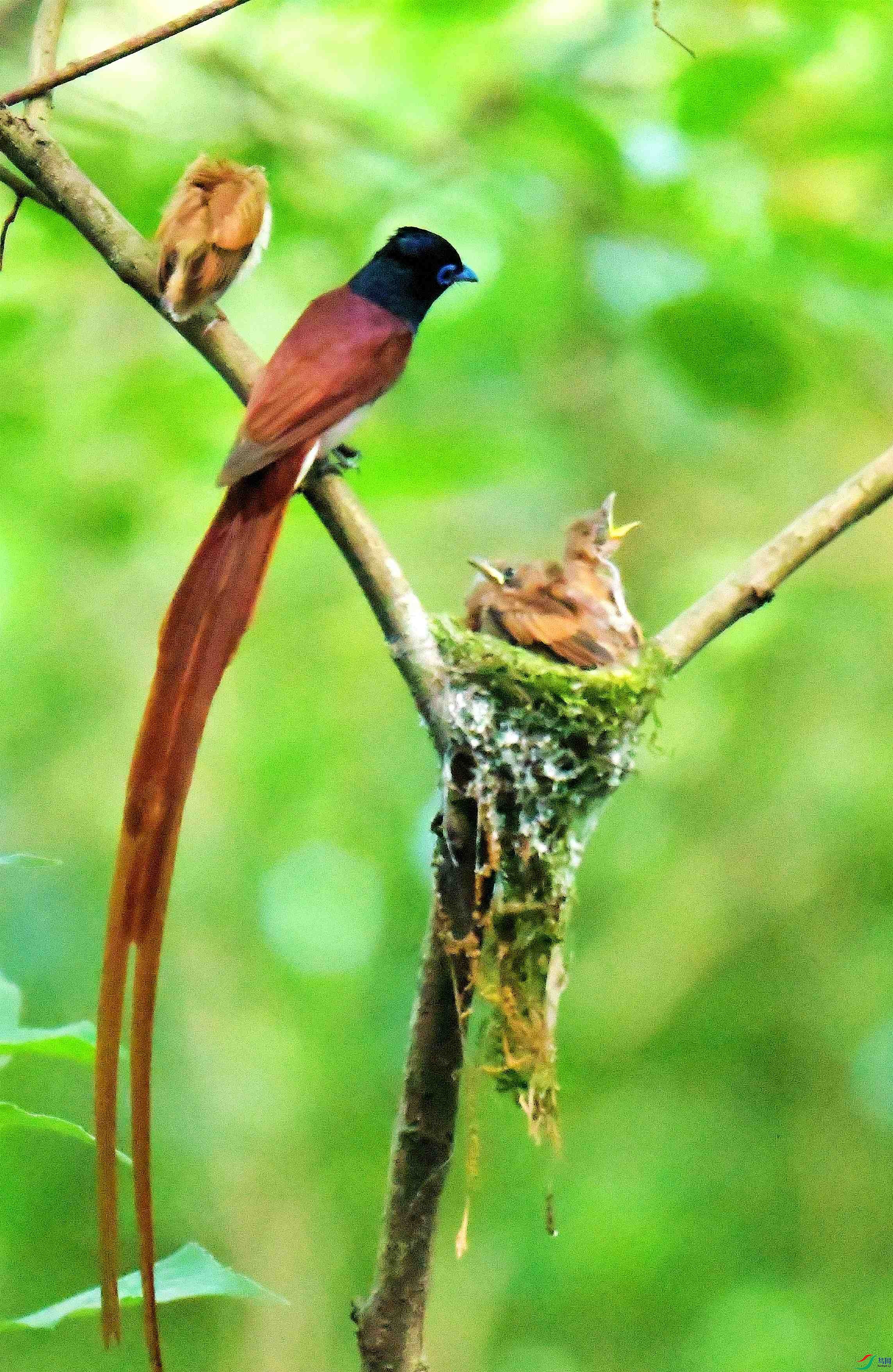 DSC_5937.JPG