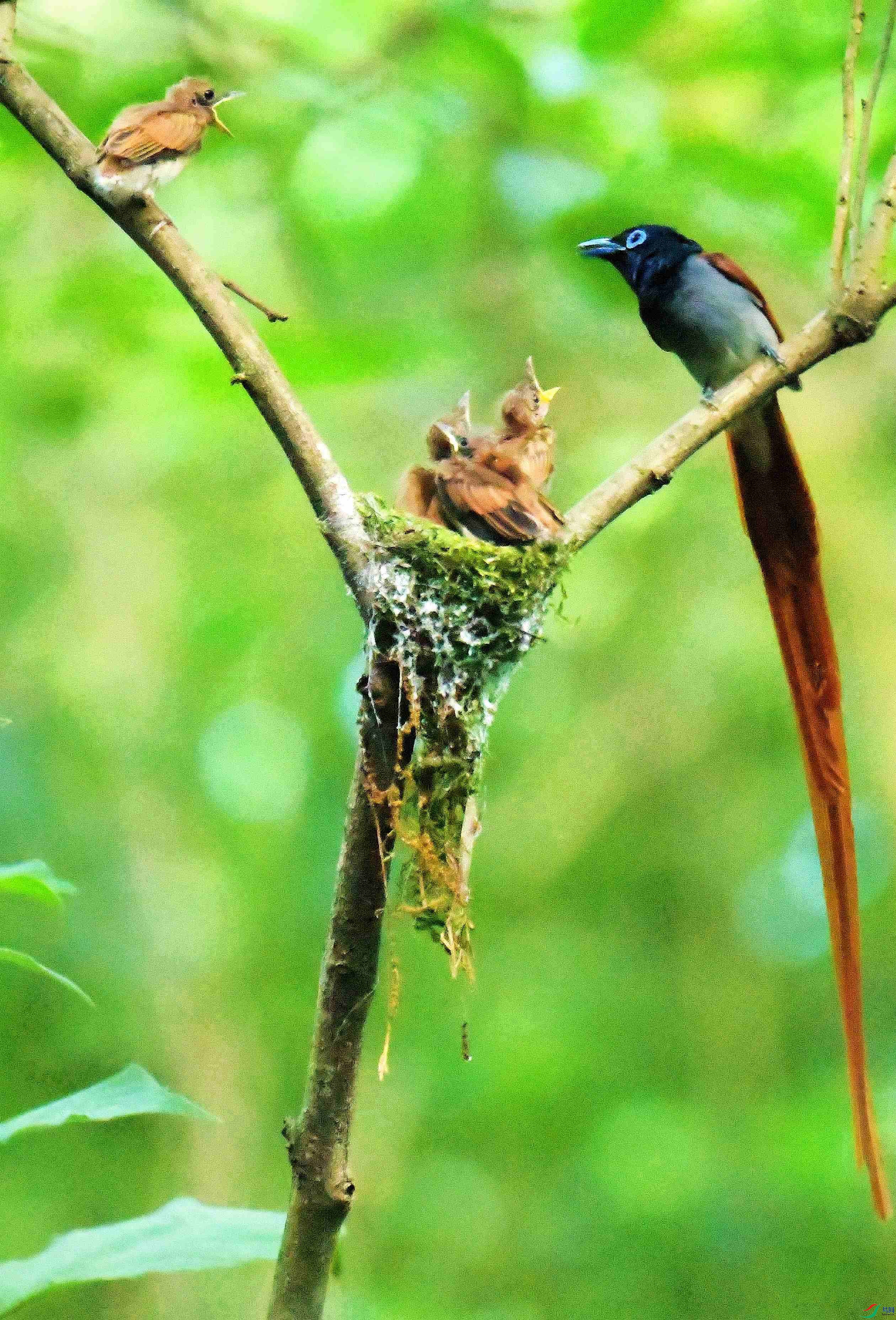 DSC_5910.JPG